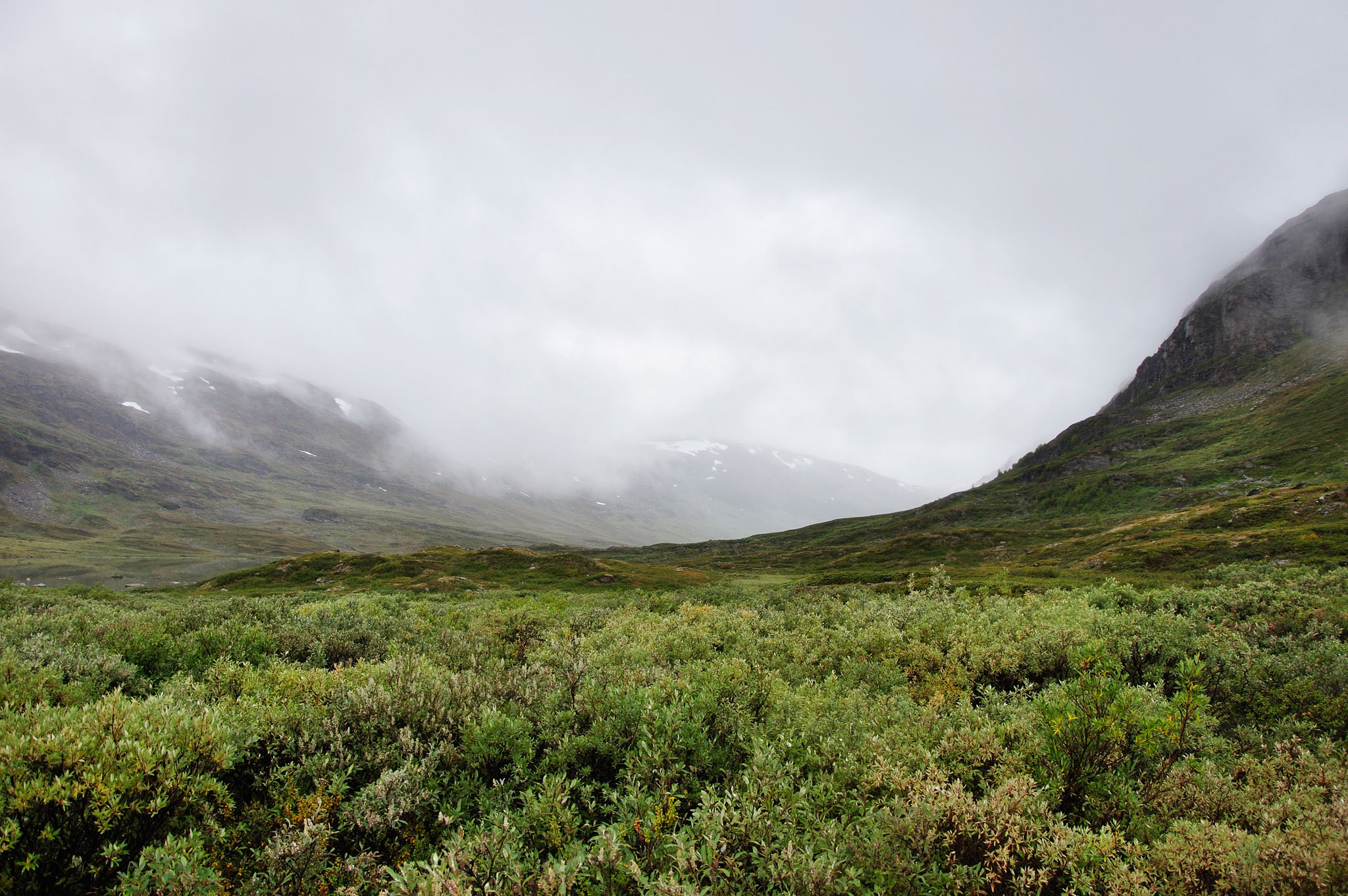 Abisko2015A122_01.jpg