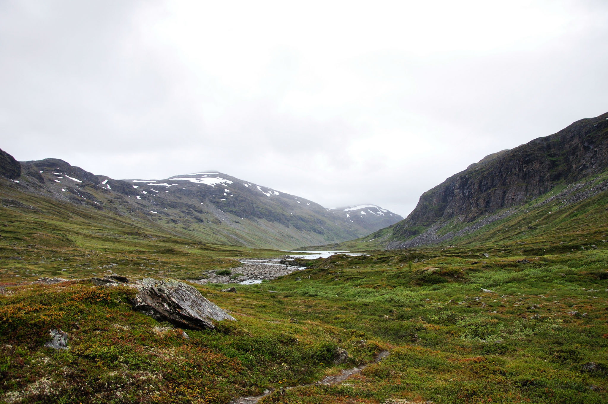 Abisko2015A125_01.jpg