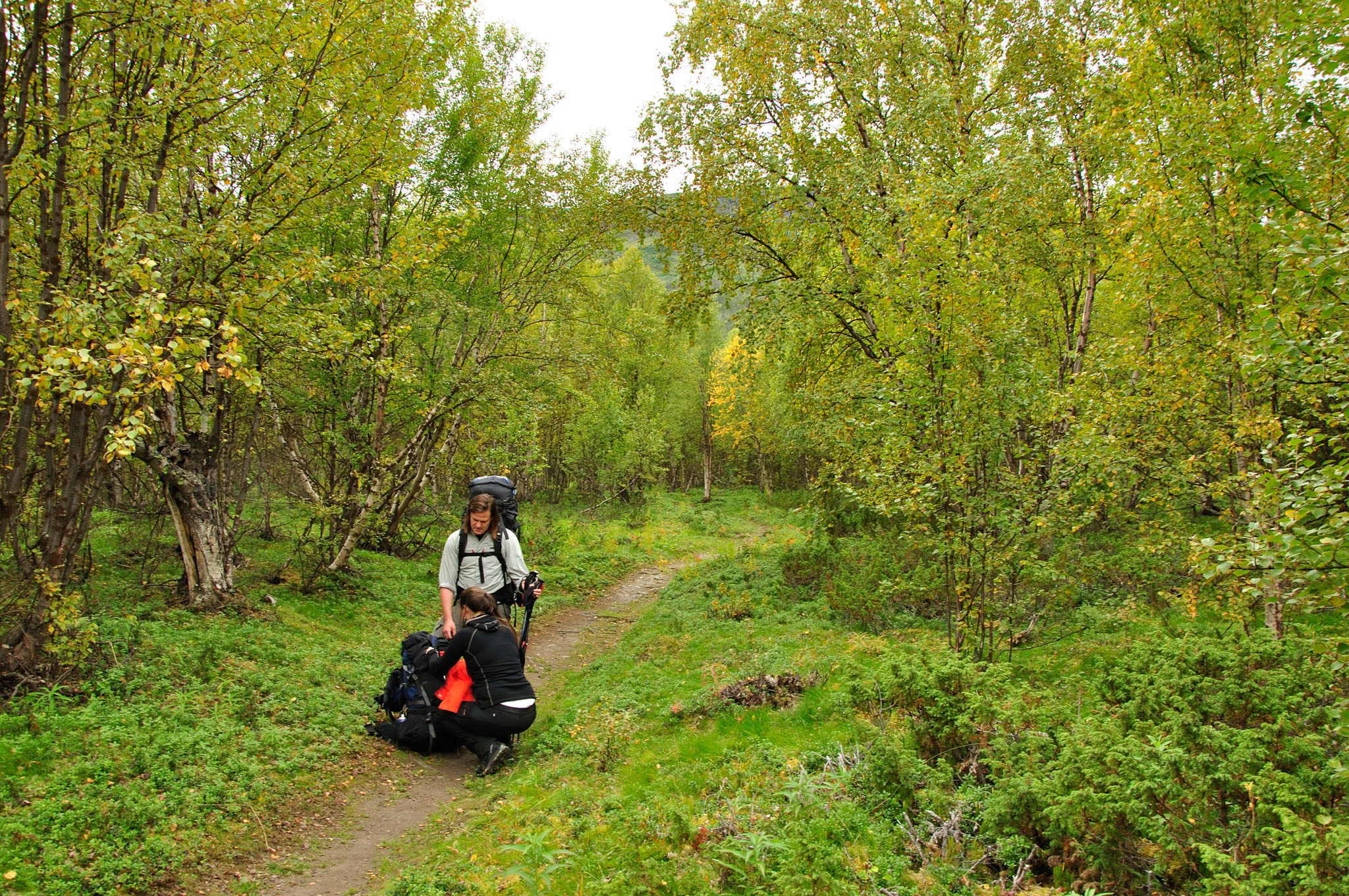 Abisko2015A29_01.jpg