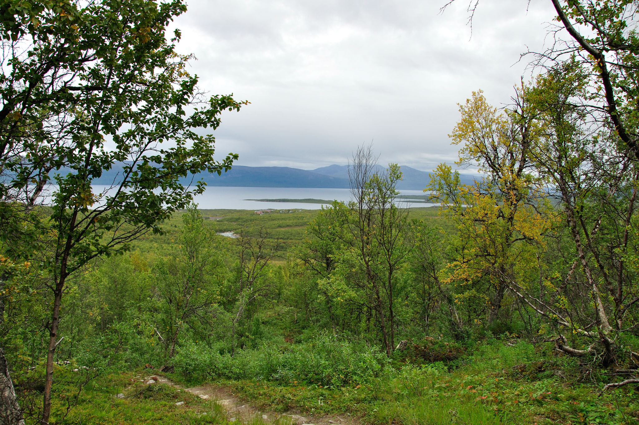 Abisko2015A32_01.jpg