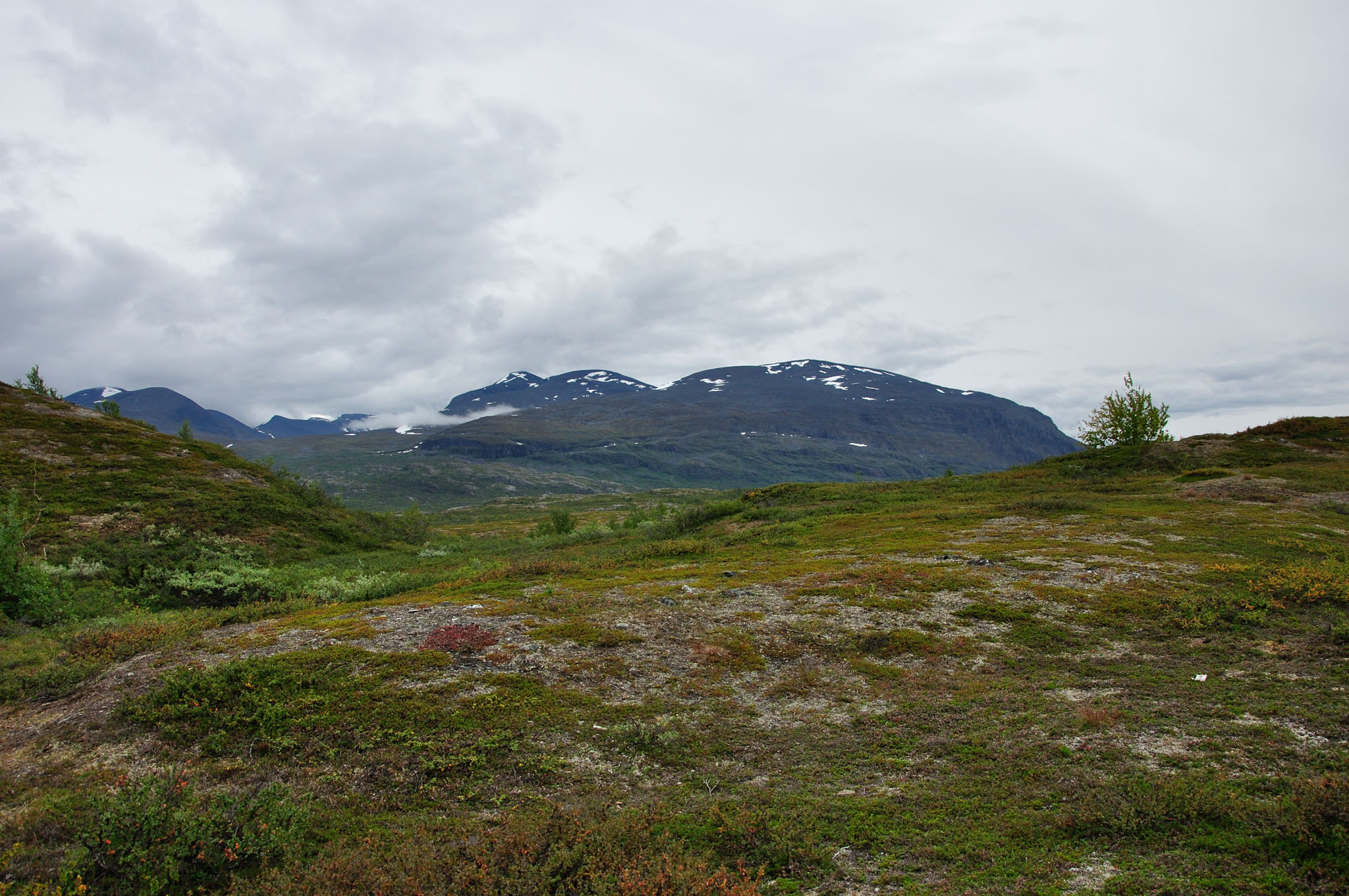 Abisko2015A36_01.jpg