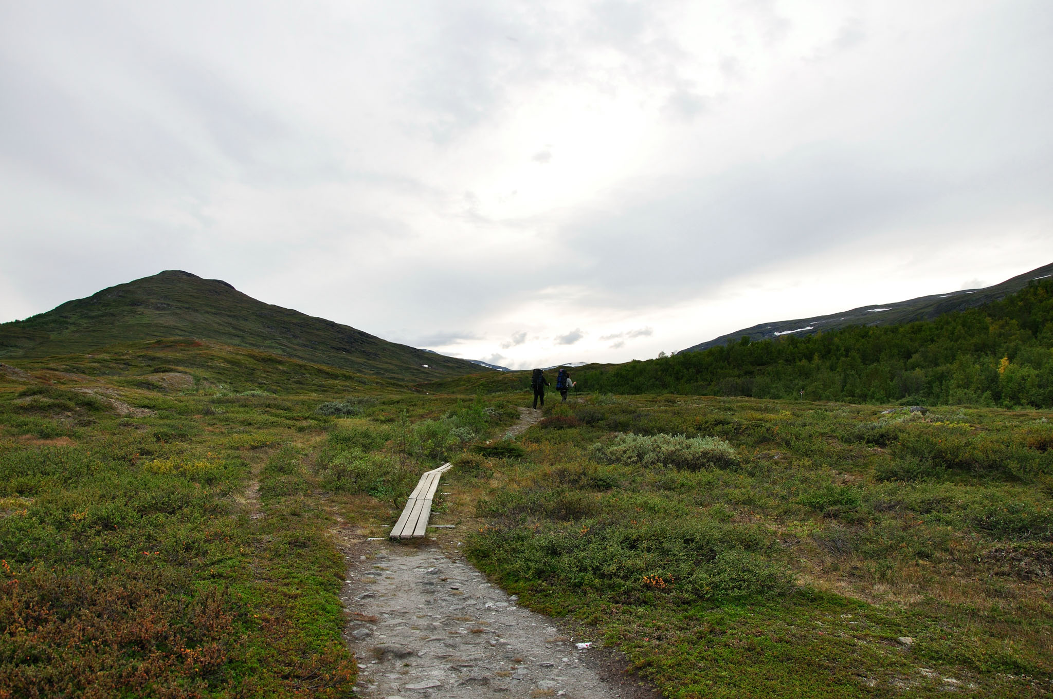 Abisko2015A37_01.jpg