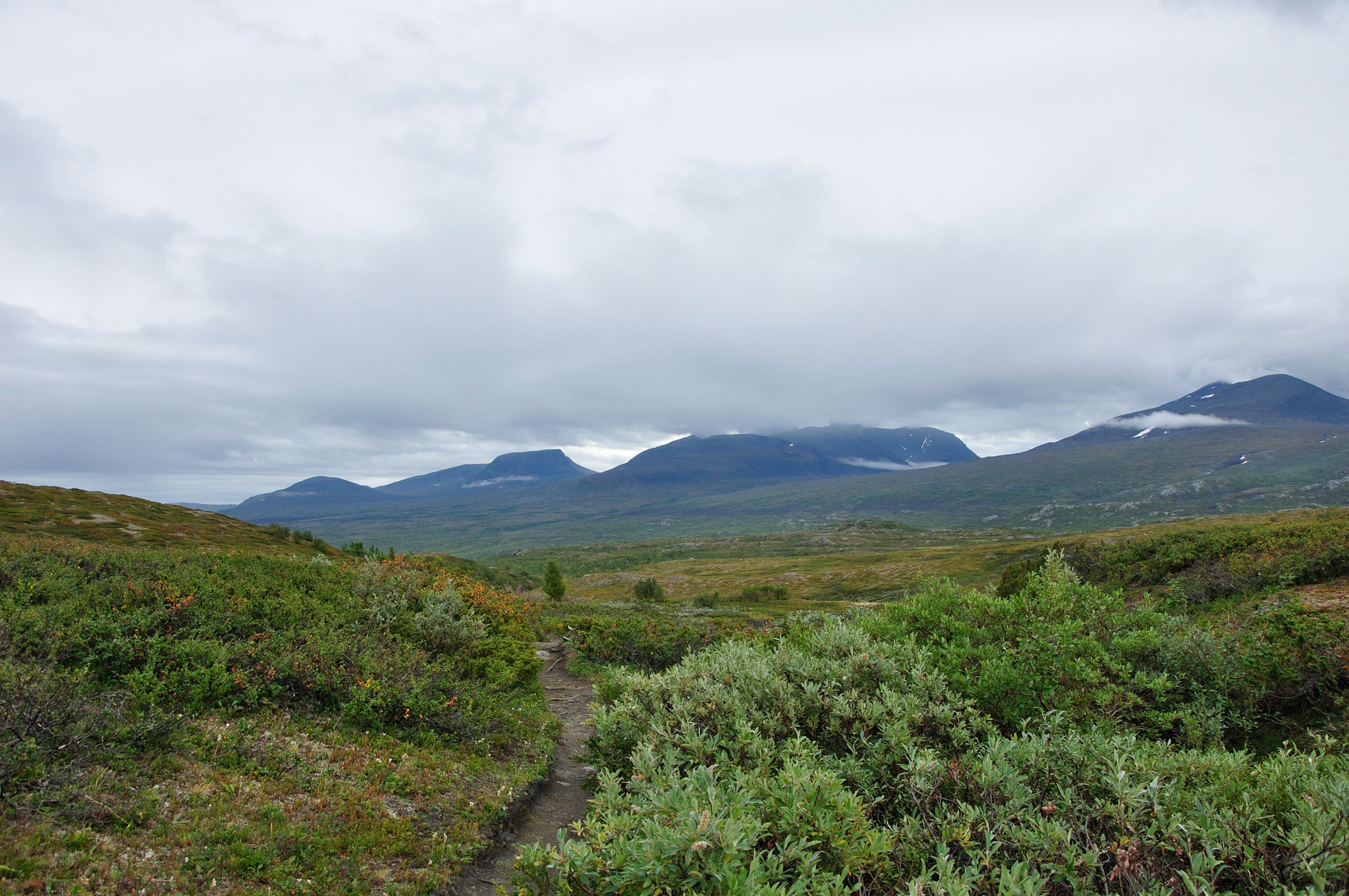 Abisko2015A38_01.jpg