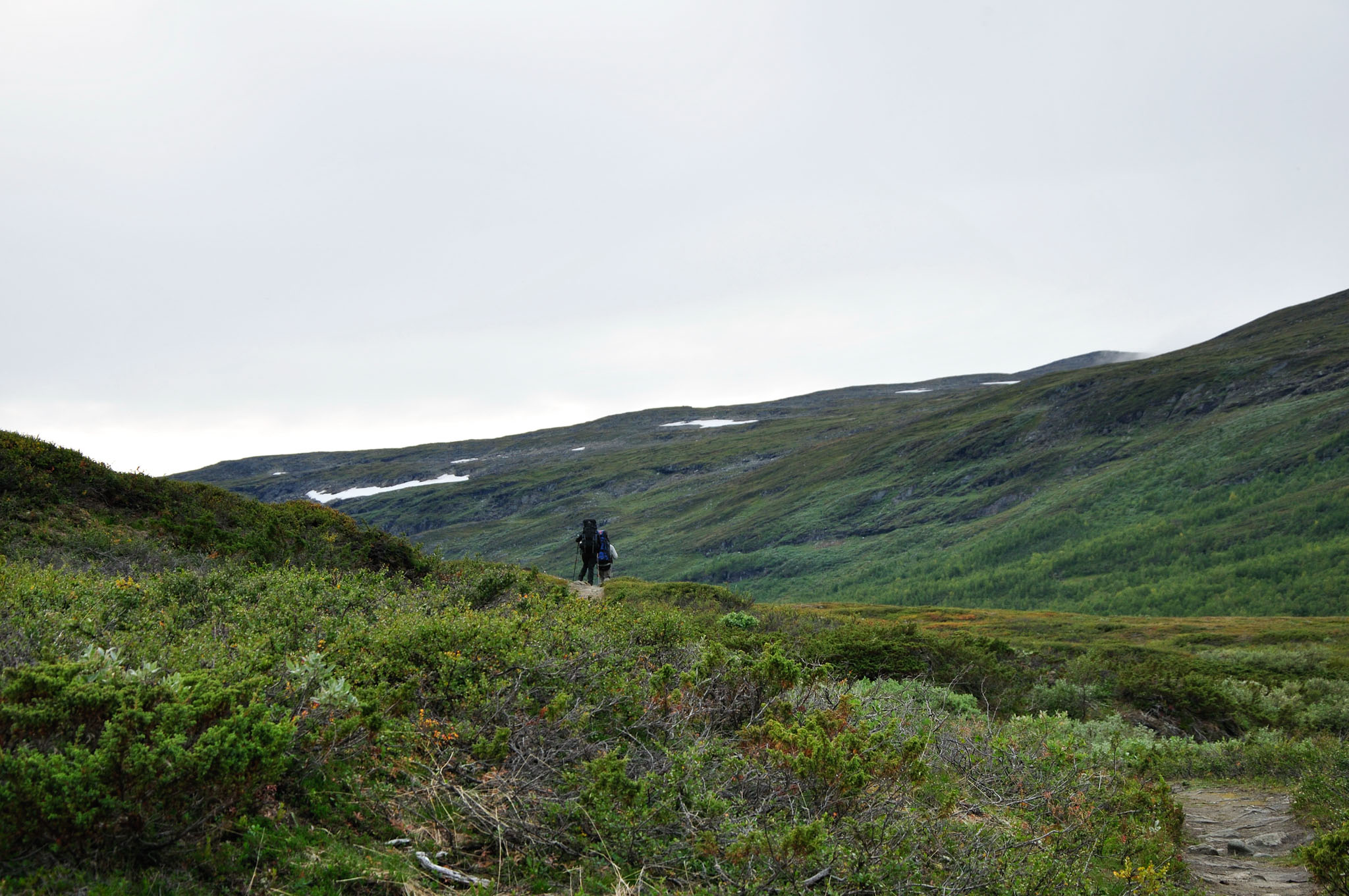 Abisko2015A39_01.jpg