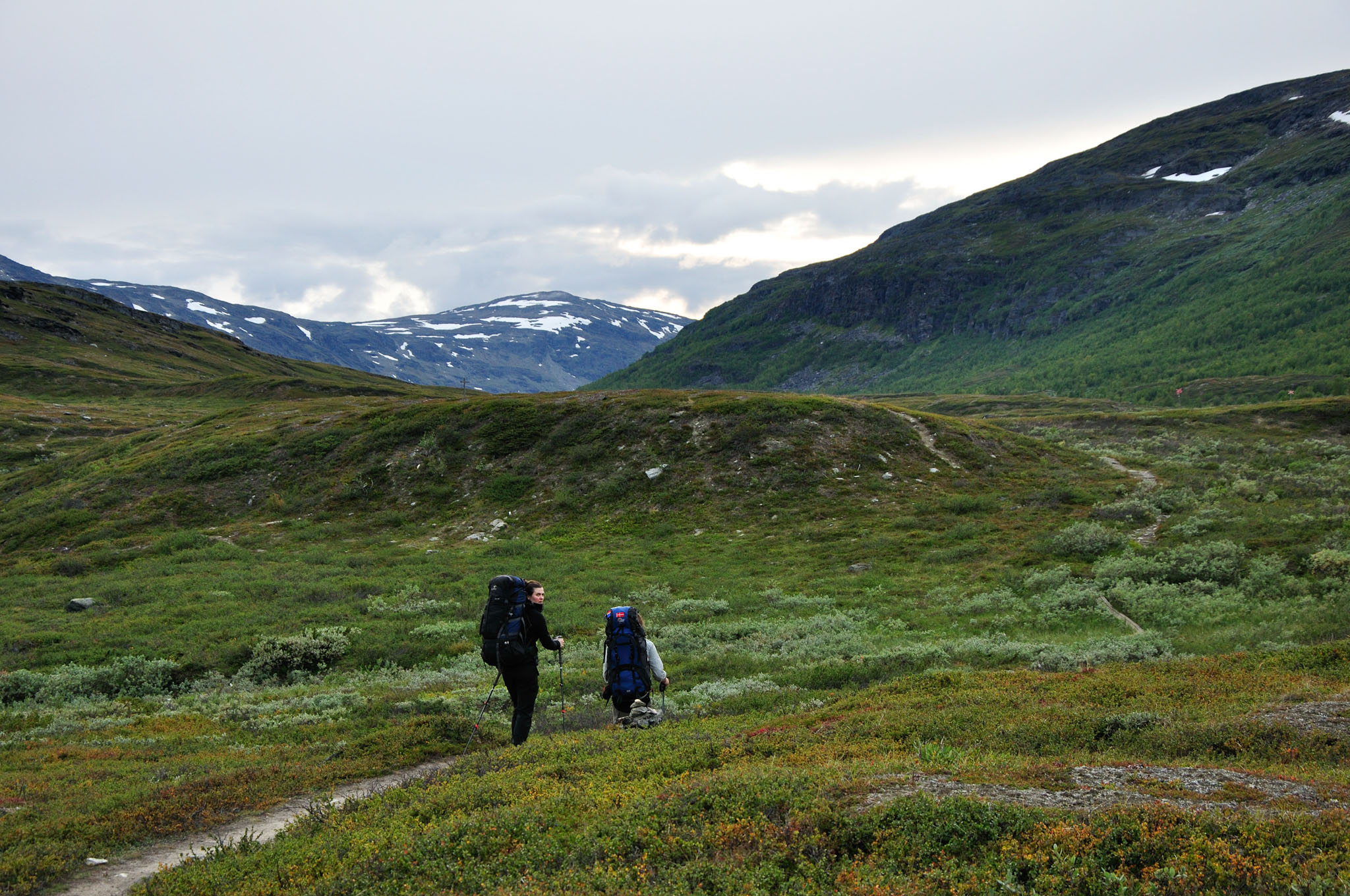 Abisko2015A41_01.jpg