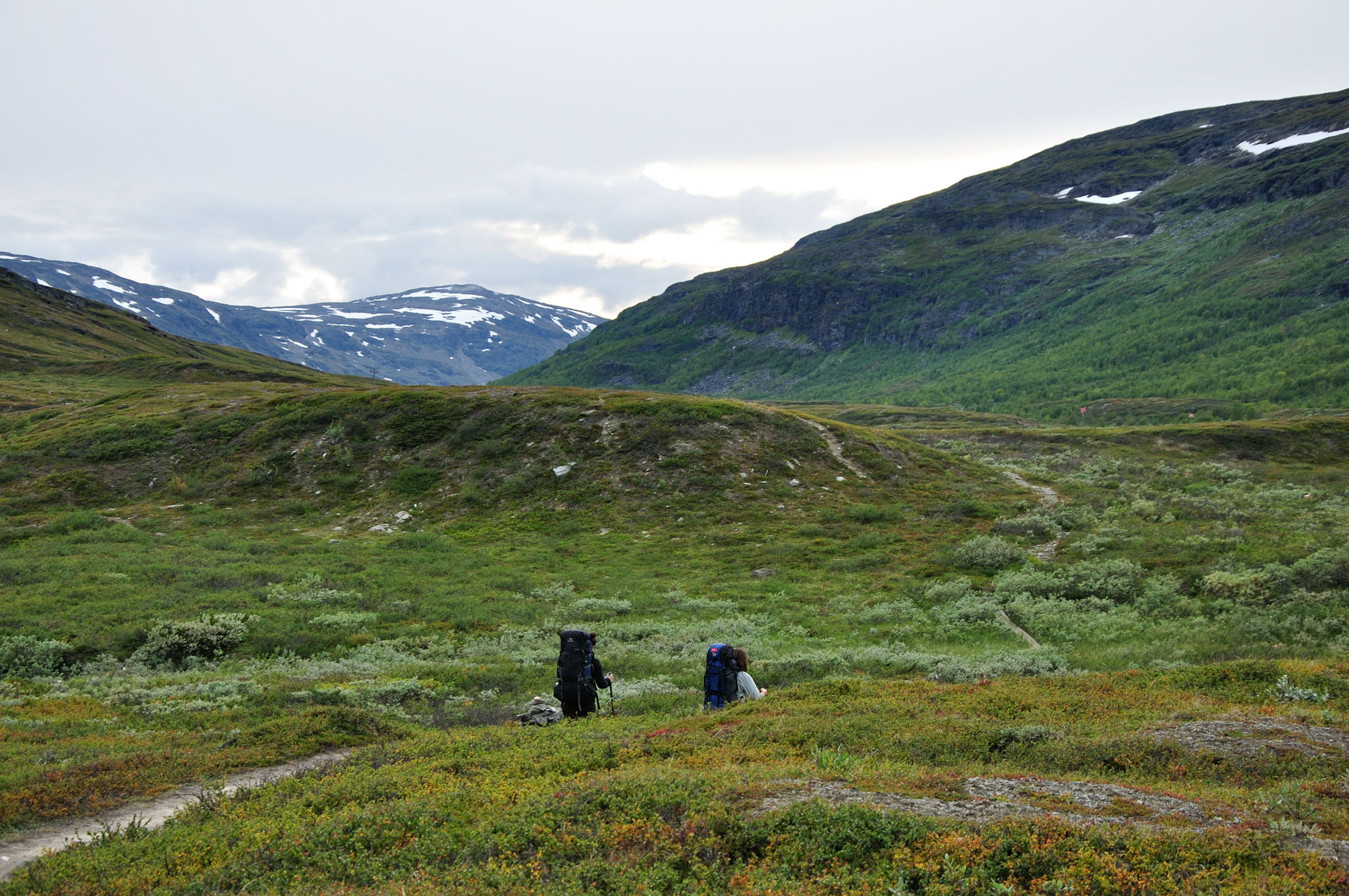 Abisko2015A42_01.jpg