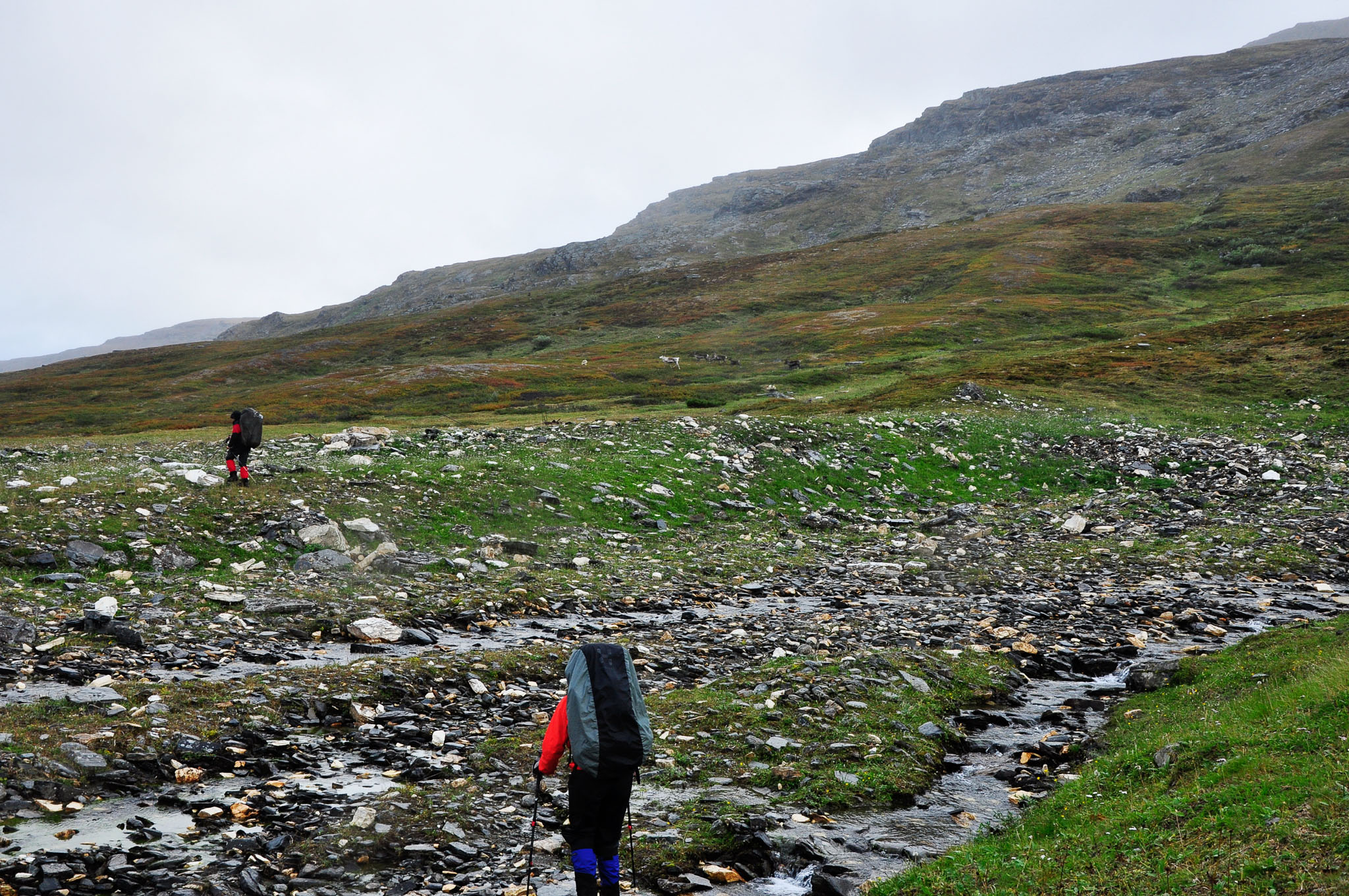 Abisko2015B202_01.jpg