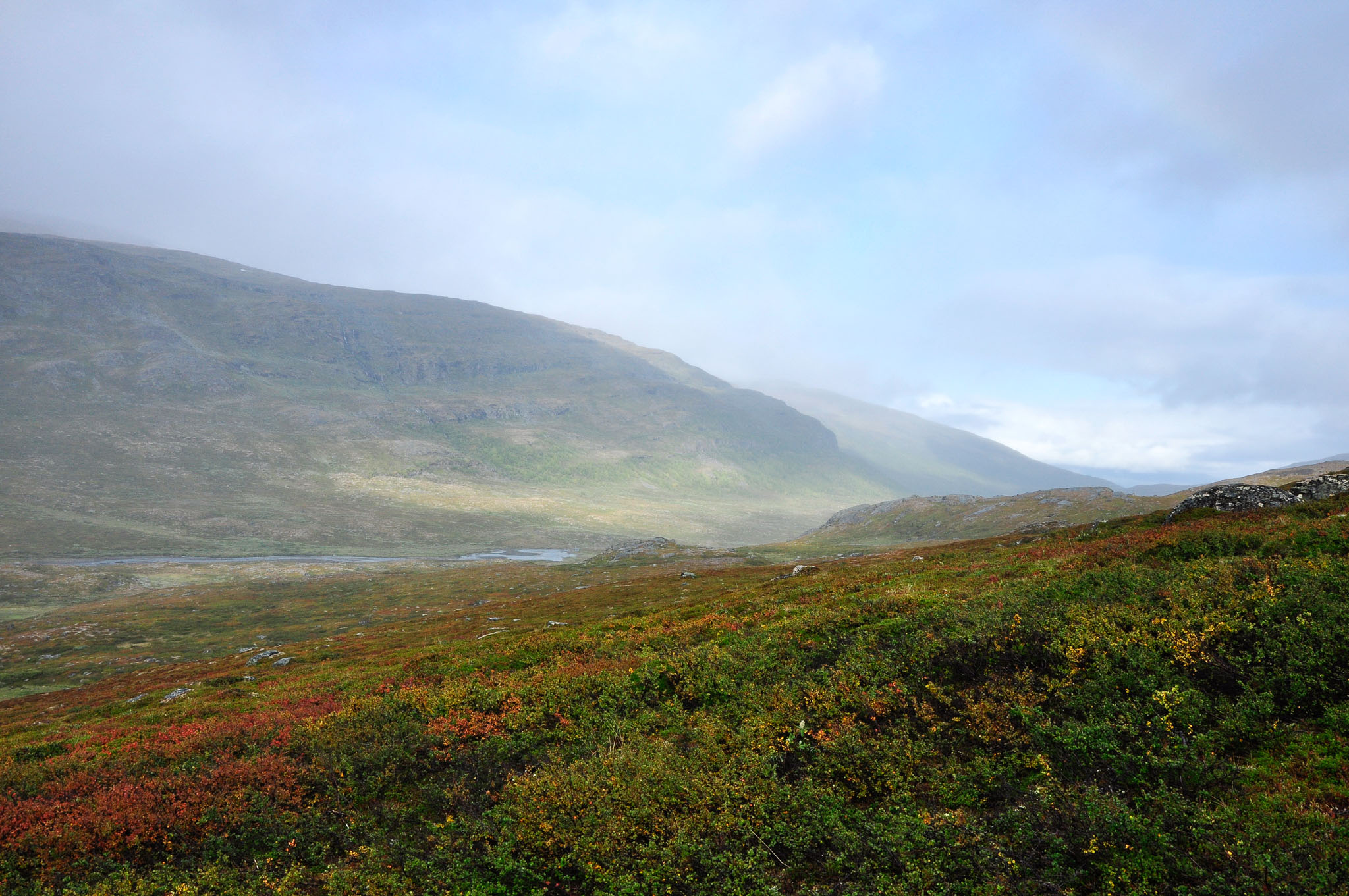 Abisko2015B219_01.jpg