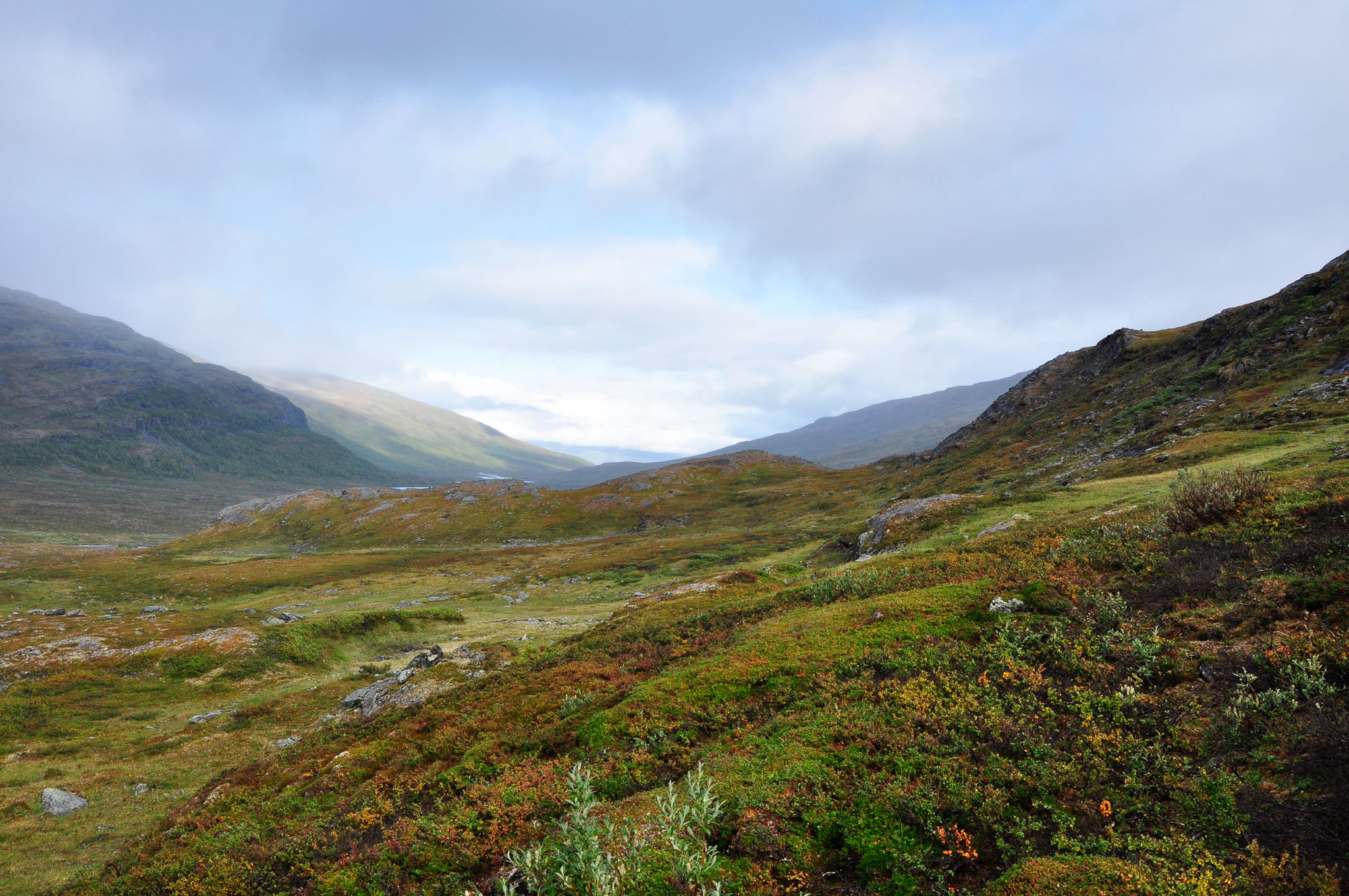 Abisko2015B220_01.jpg