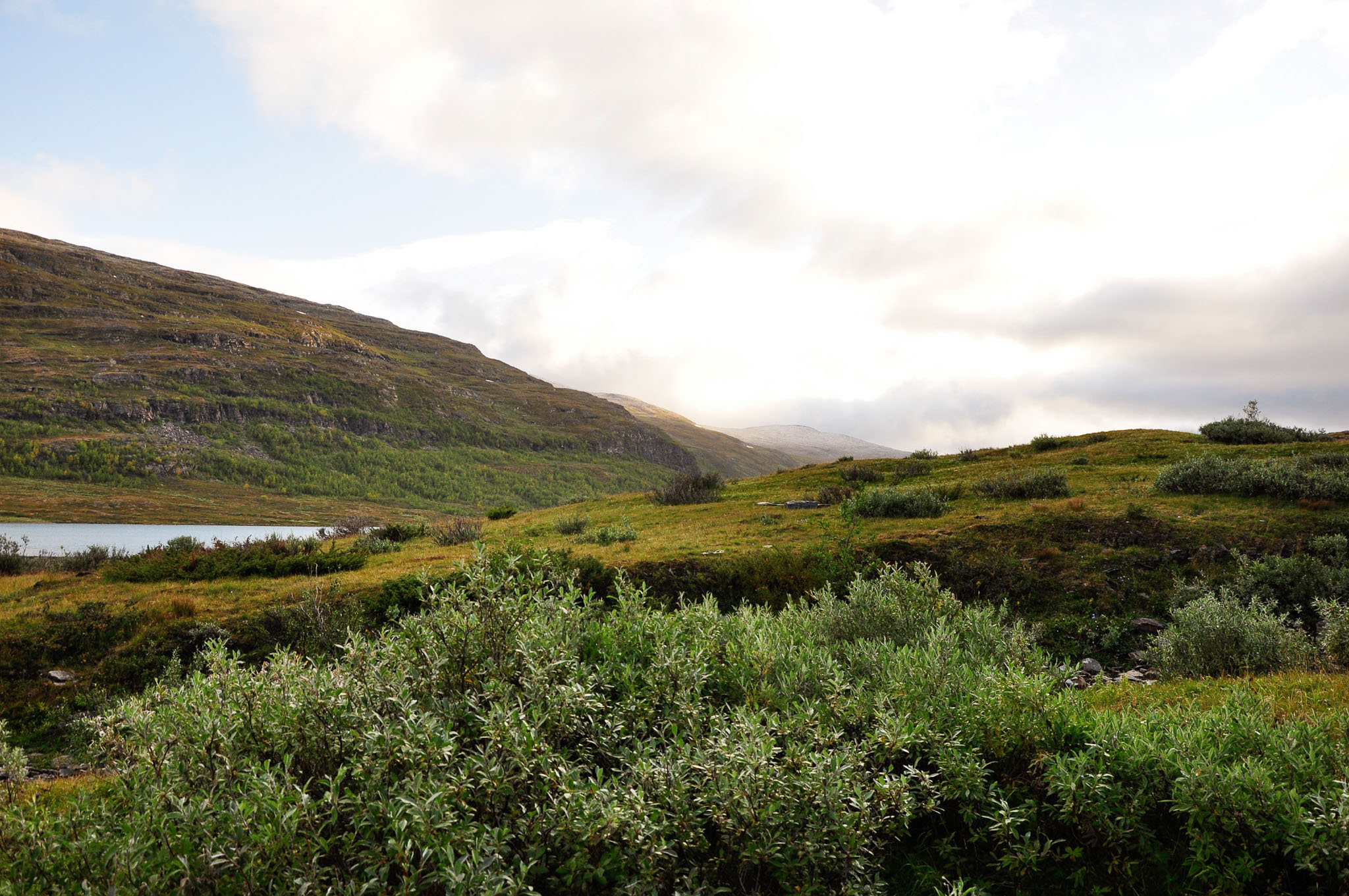 Abisko2015B260_01.jpg