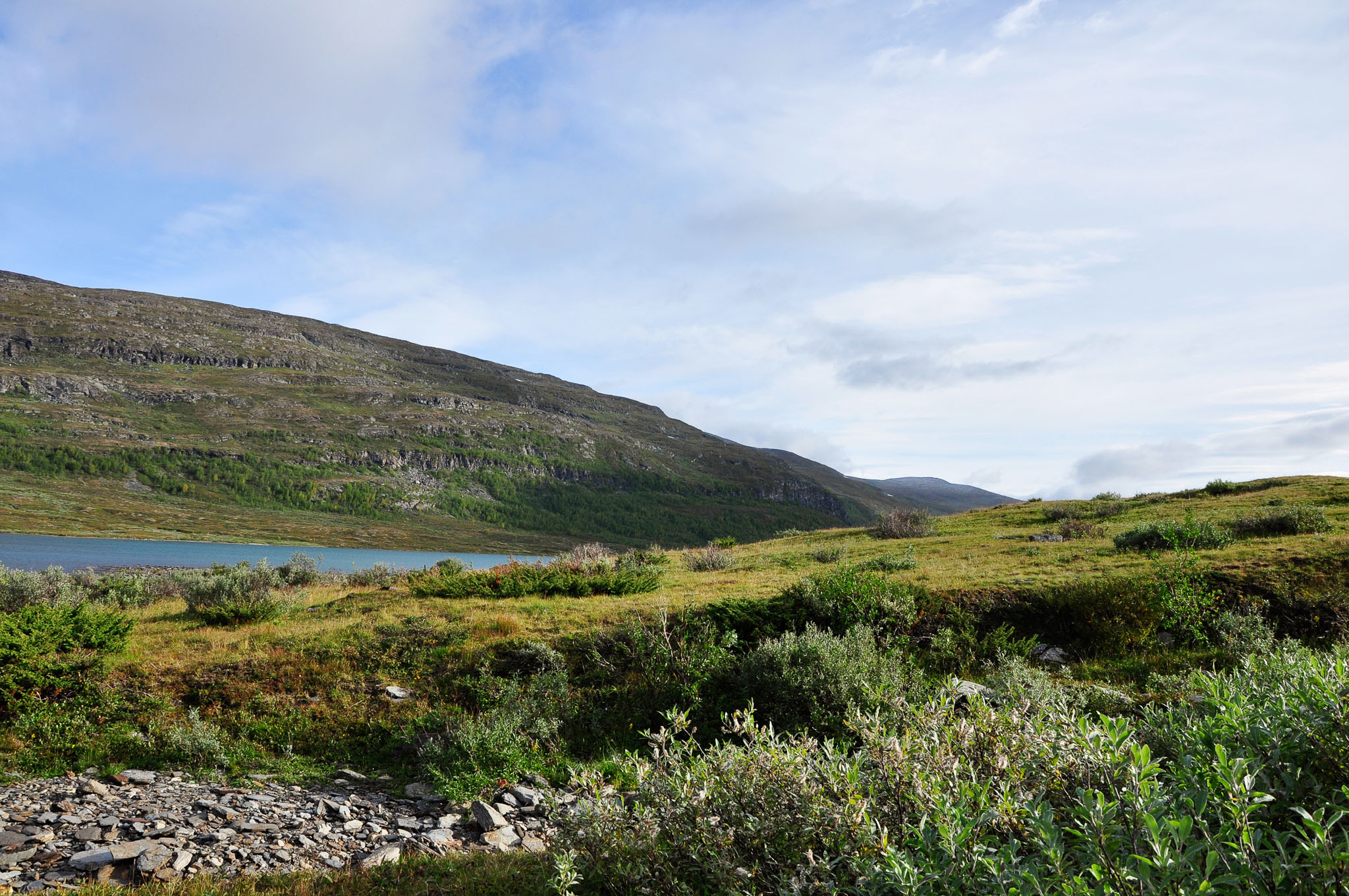 Abisko2015B297_01.jpg