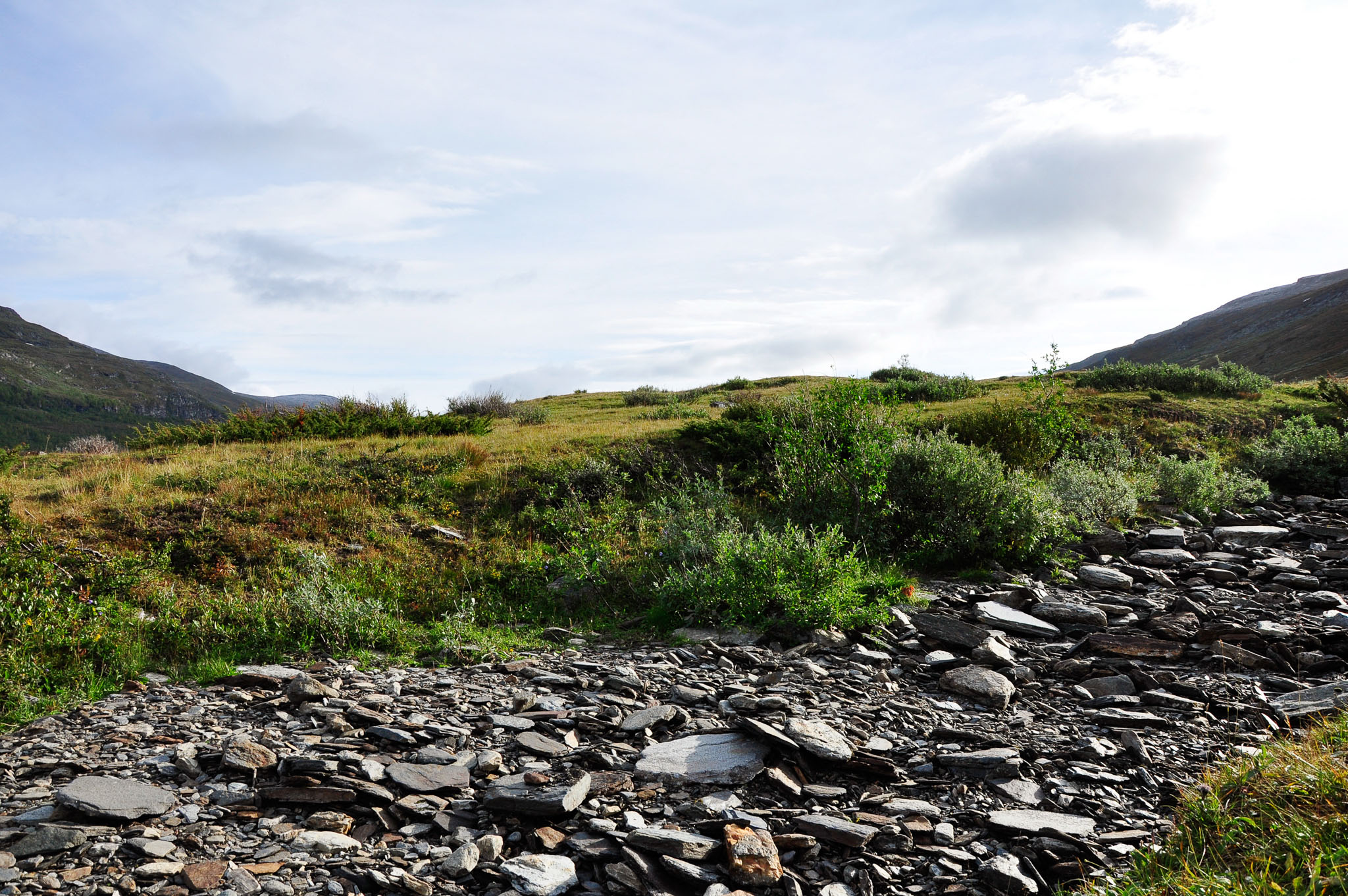 Abisko2015B298_01.jpg