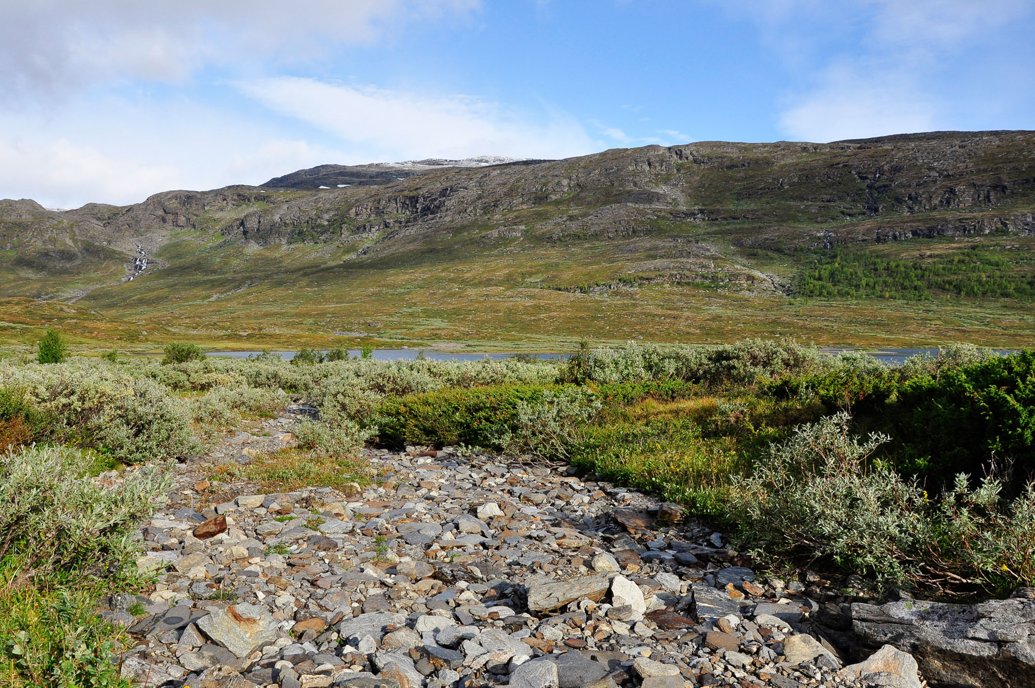 Abisko2015B299_01.jpg