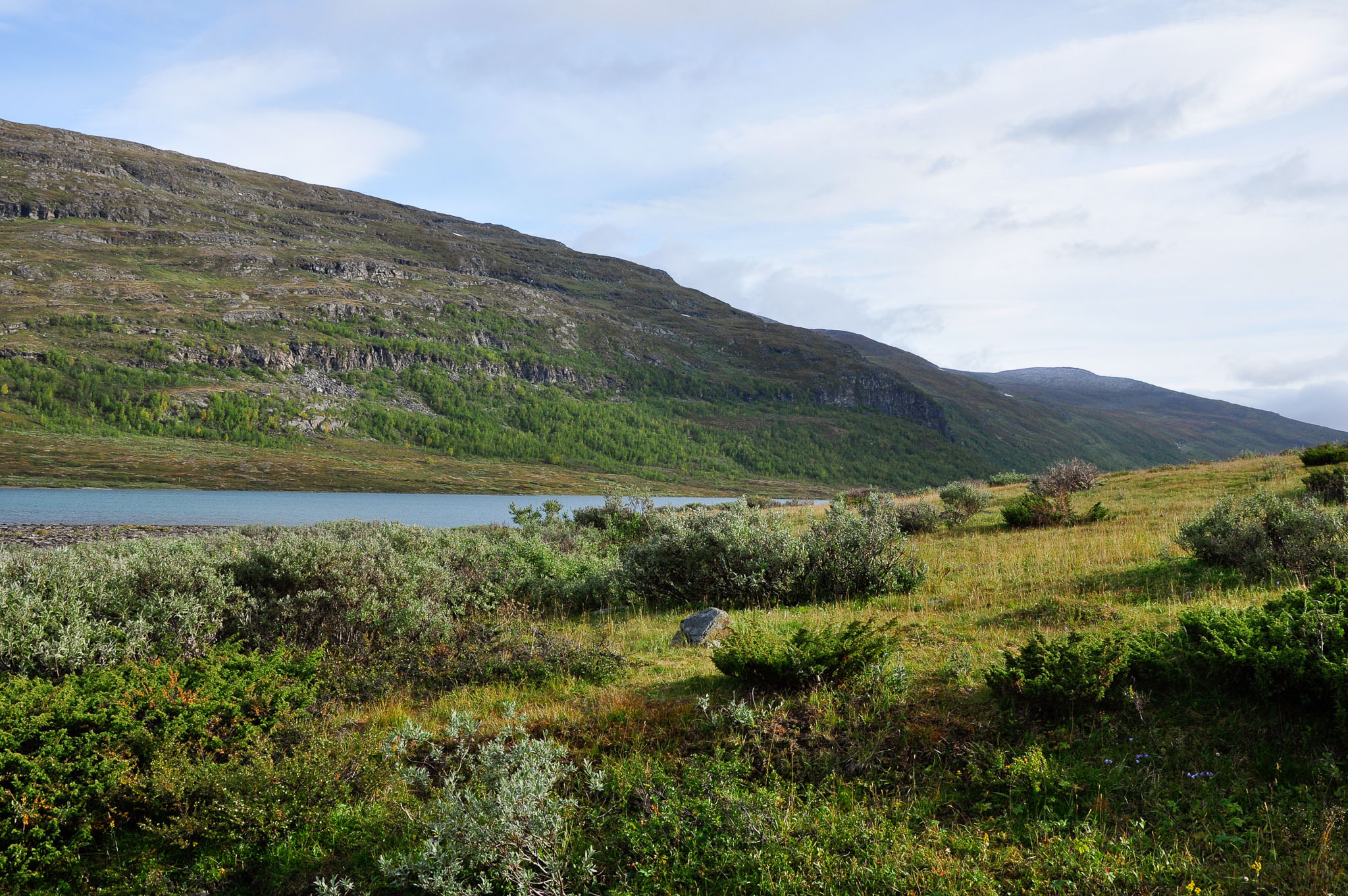 Abisko2015B305_01.jpg