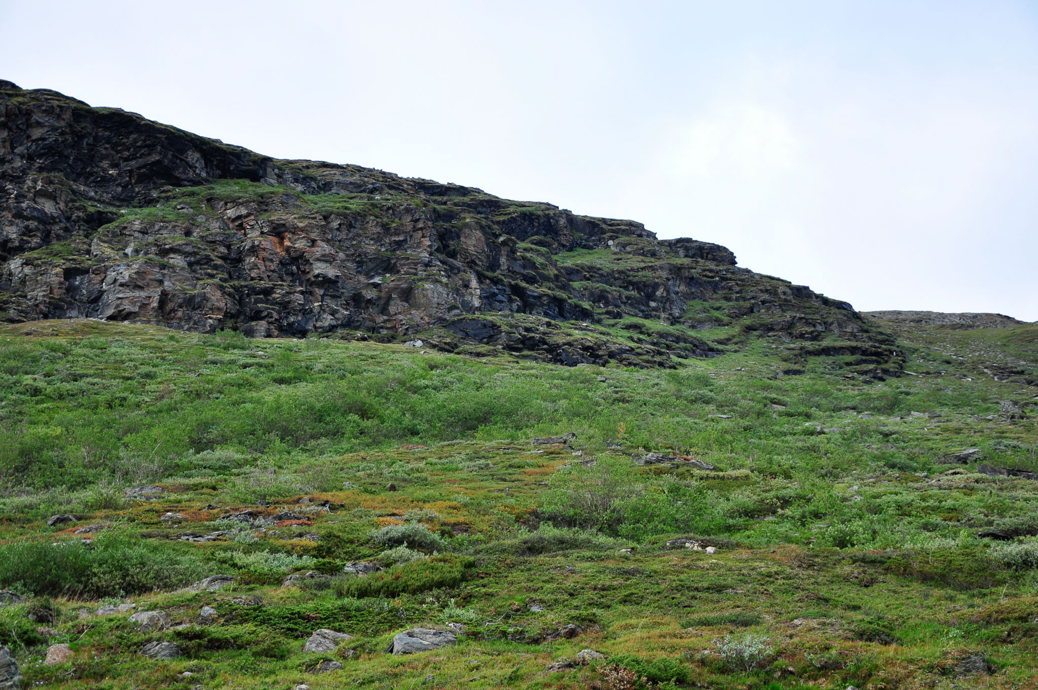 Abisko2015B68_01.jpg