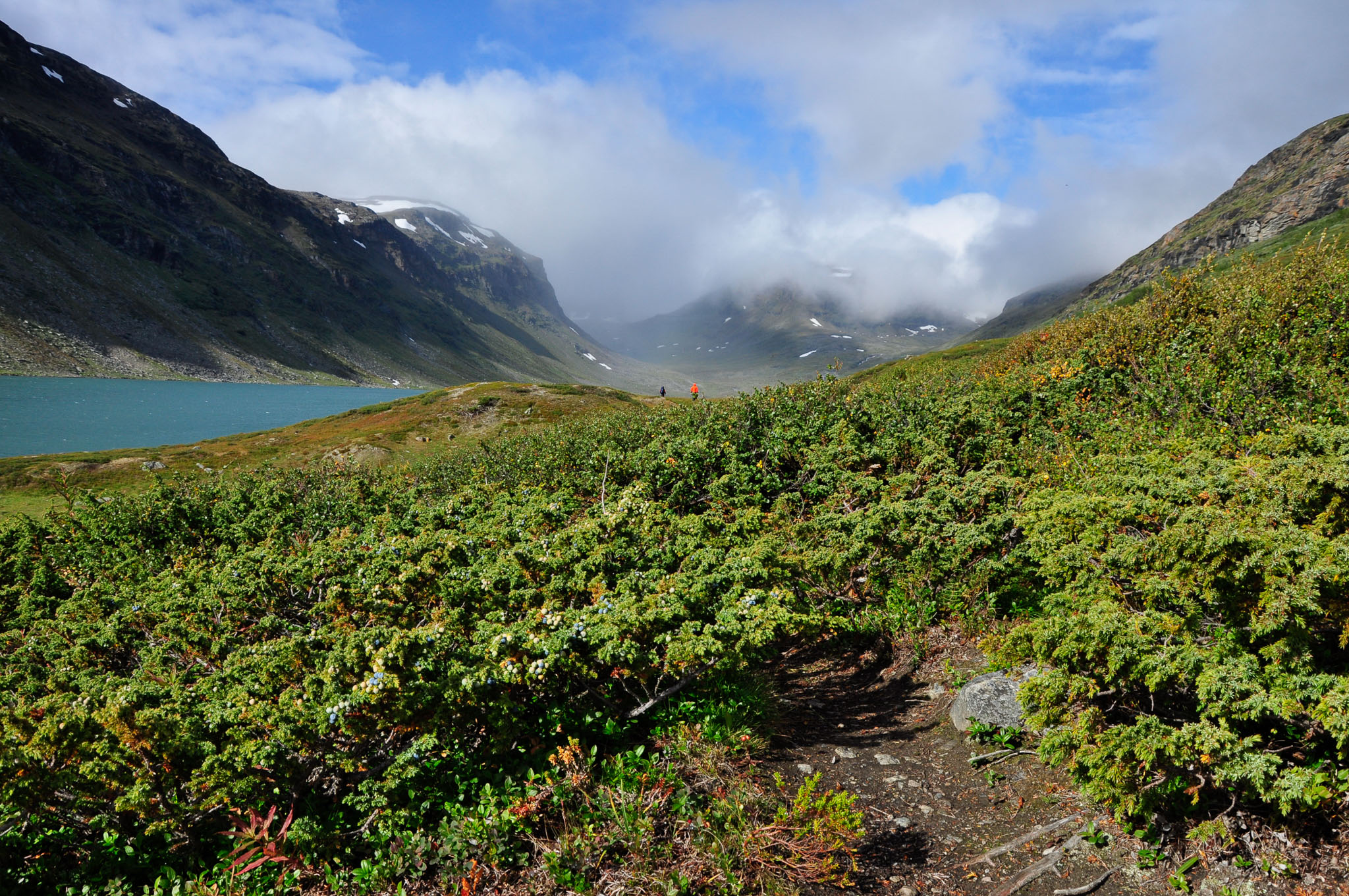 Abisko2015B8_01.jpg