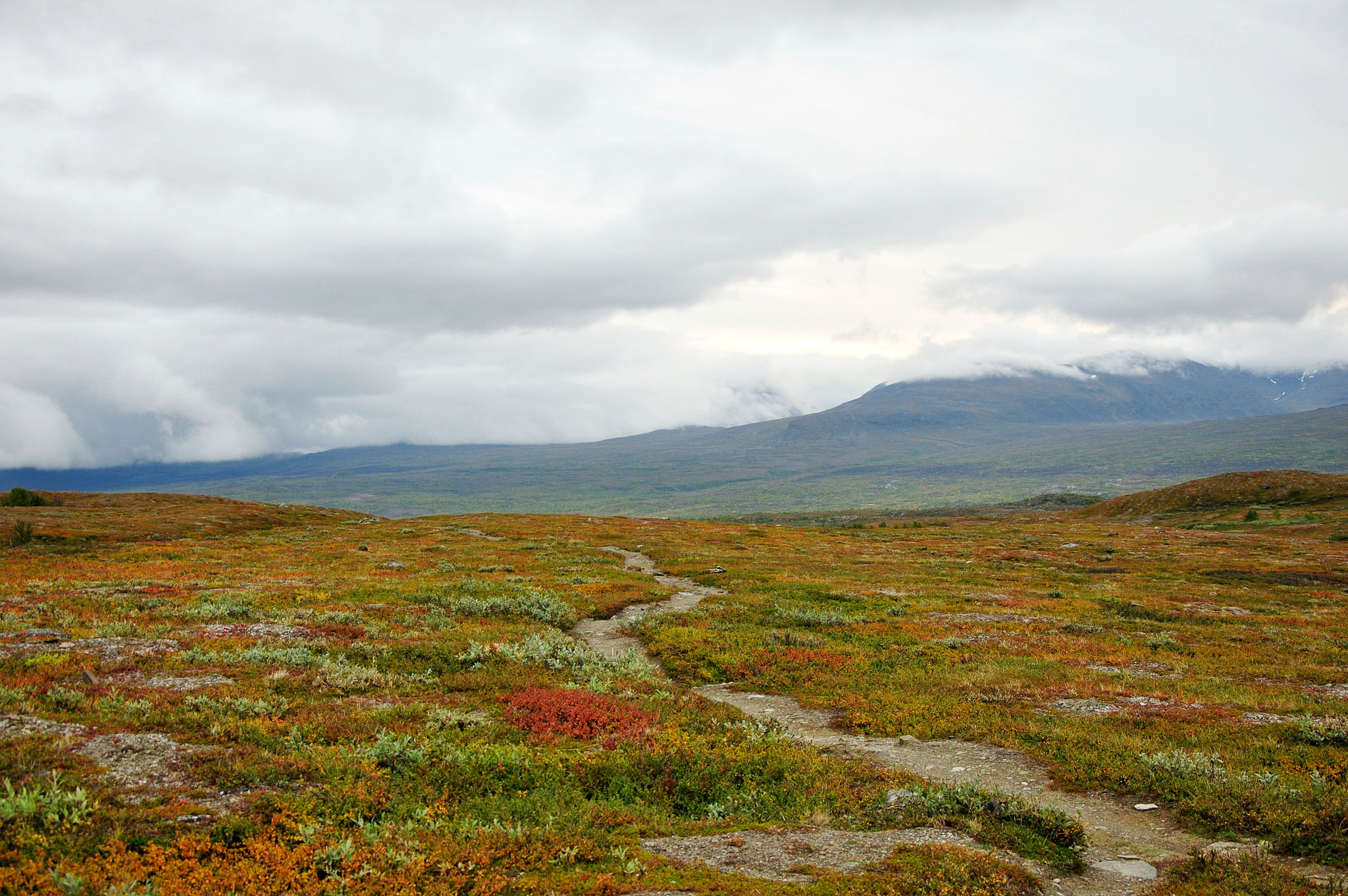 Abisko2015C101_01.jpg