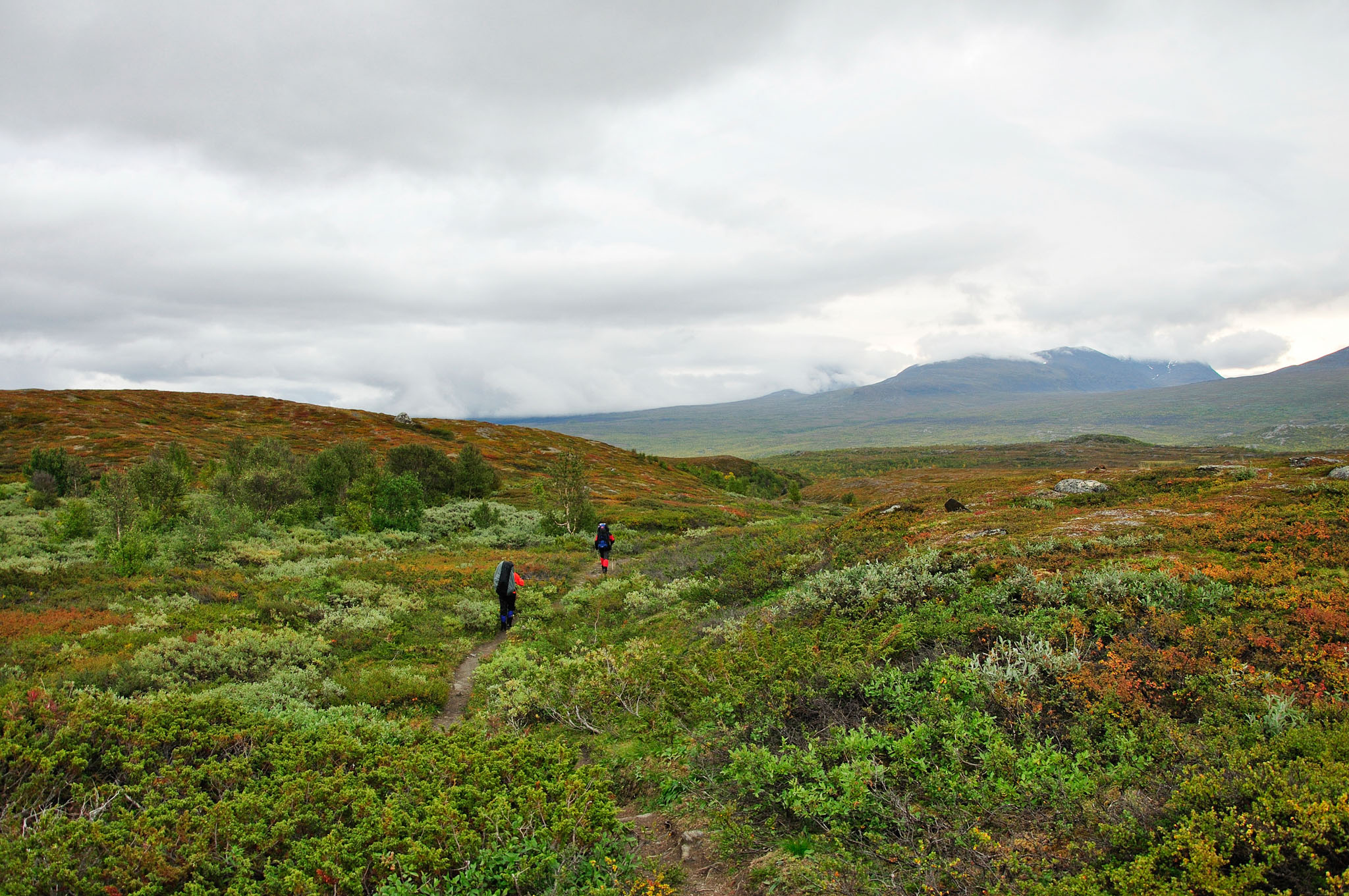 Abisko2015C102_01.jpg