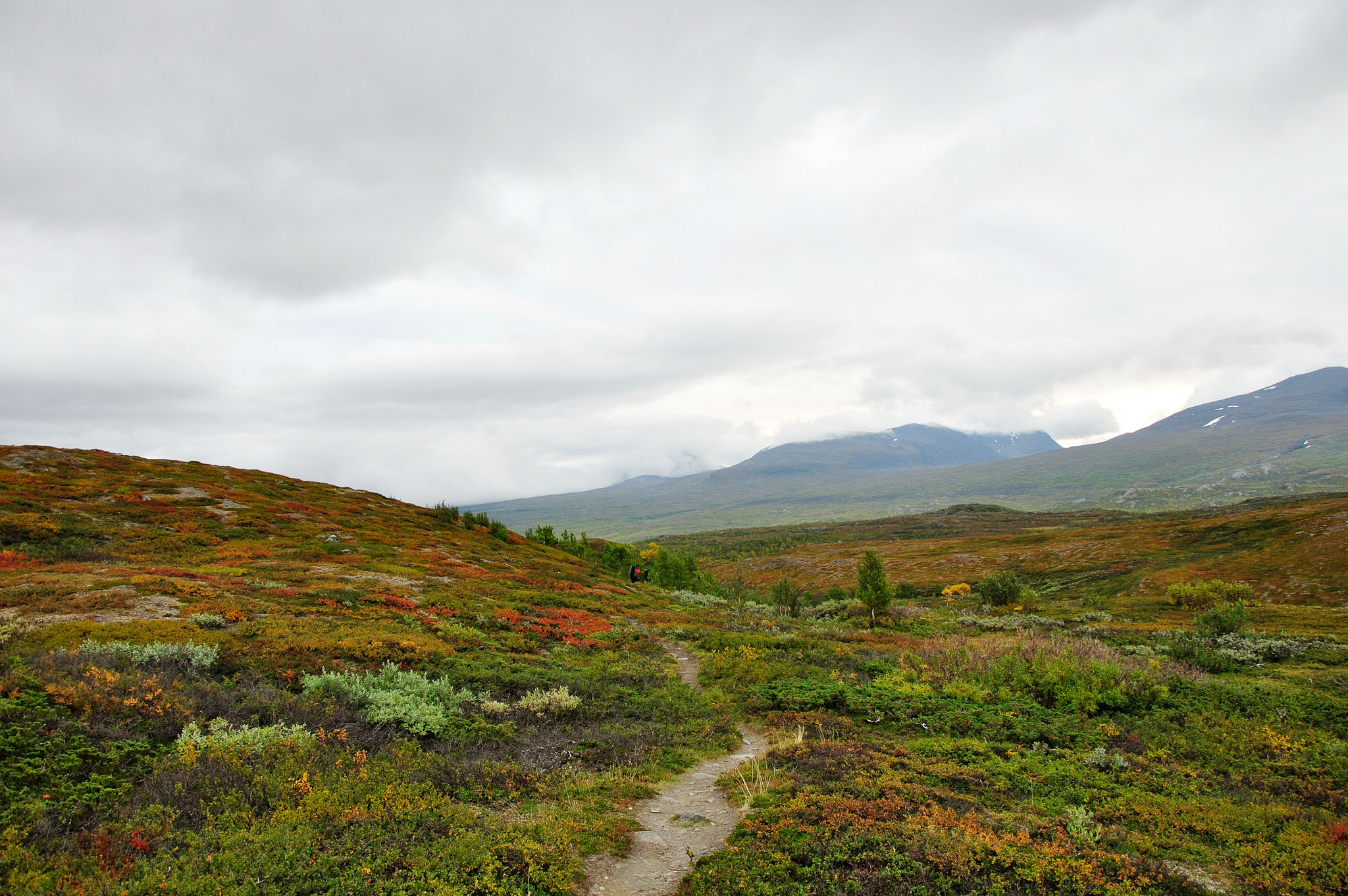 Abisko2015C104_01.jpg