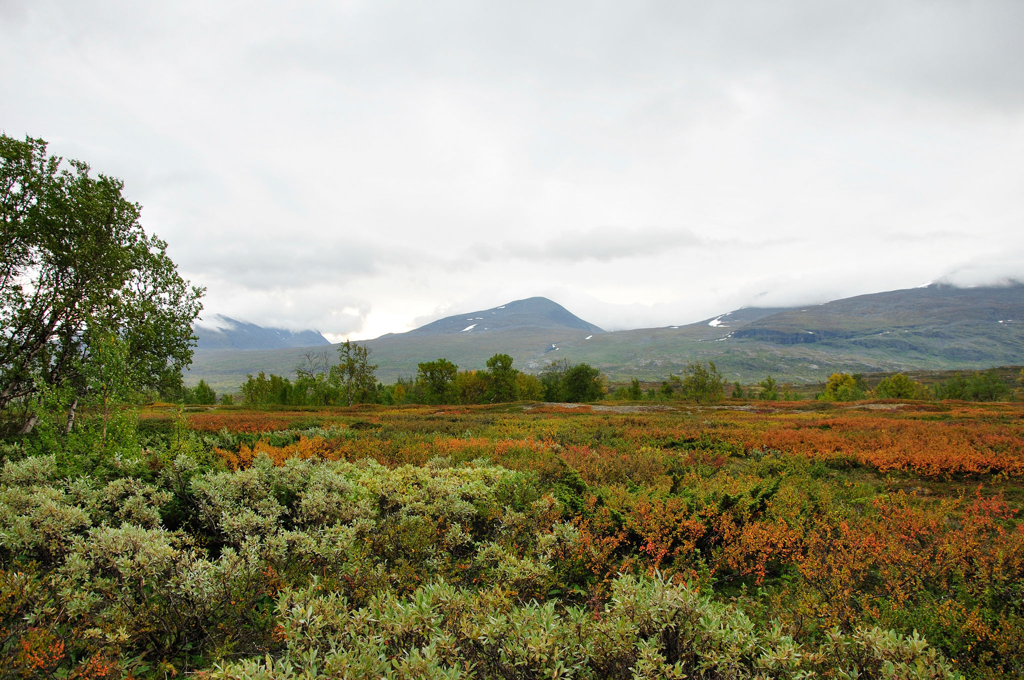 Abisko2015C106_01.jpg