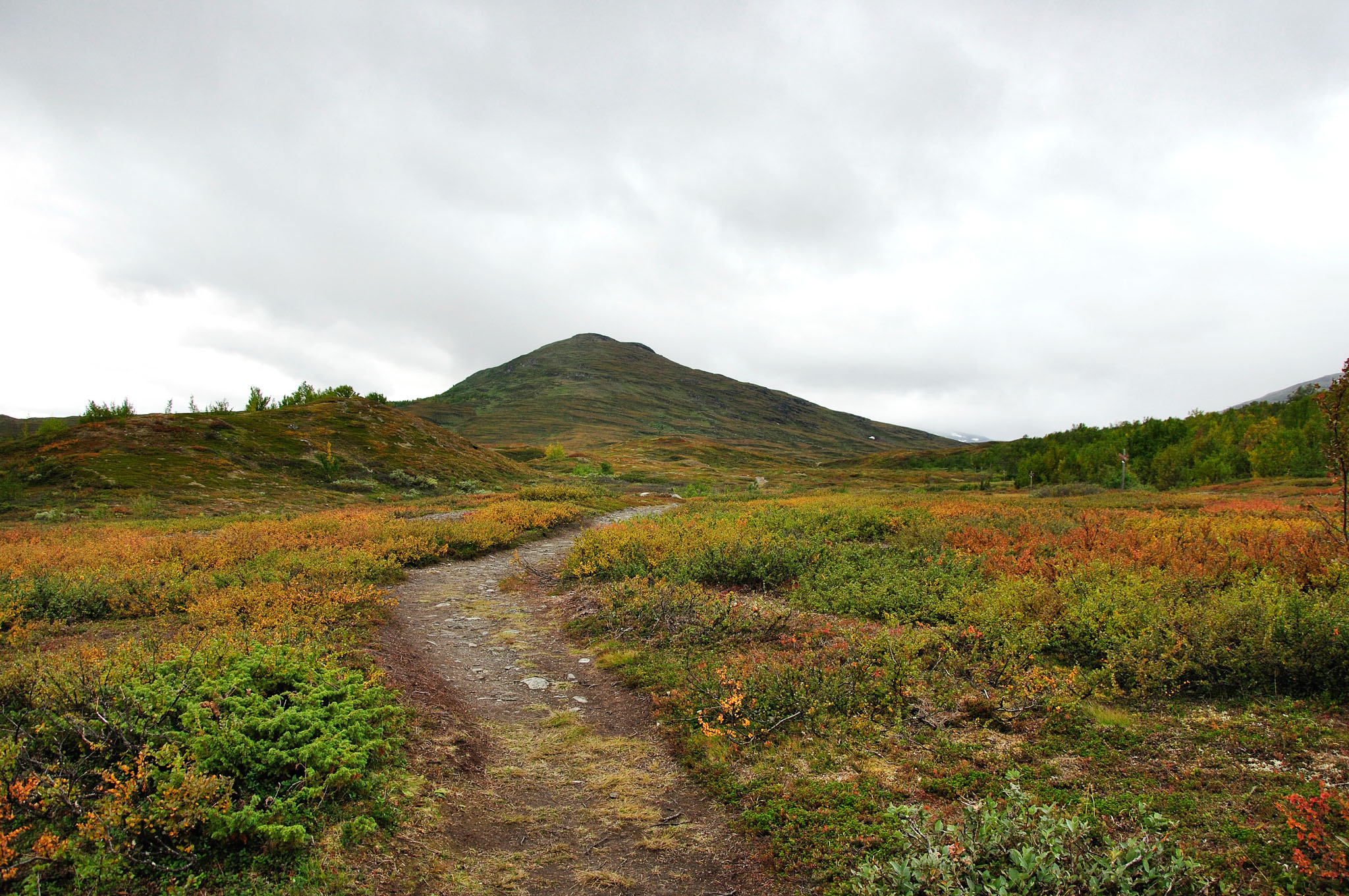 Abisko2015C107_01.jpg