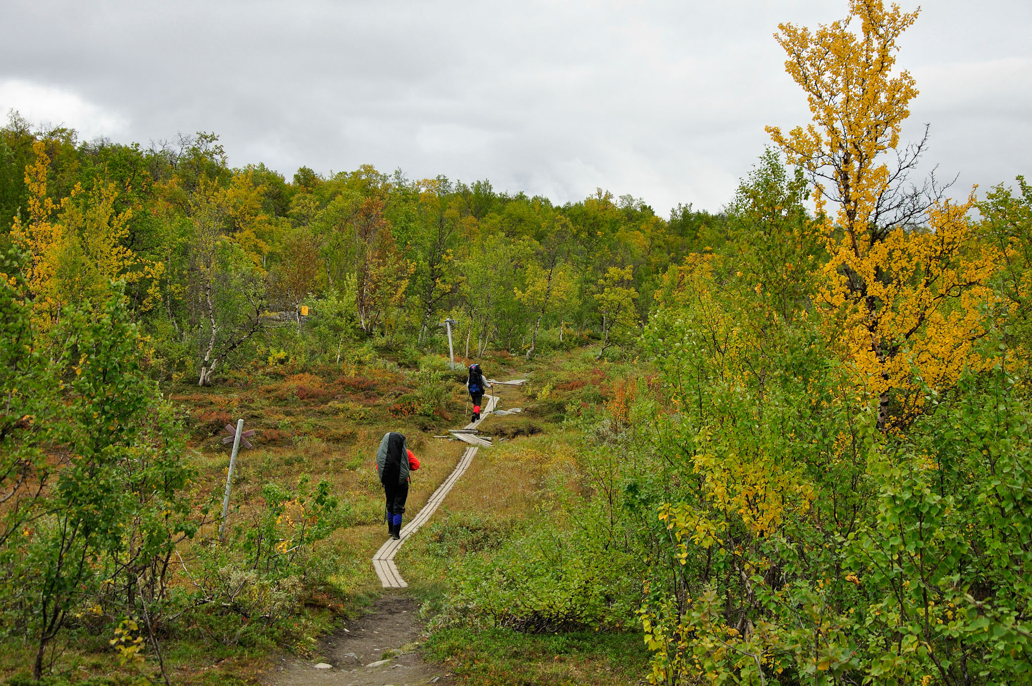 Abisko2015C110_01.jpg