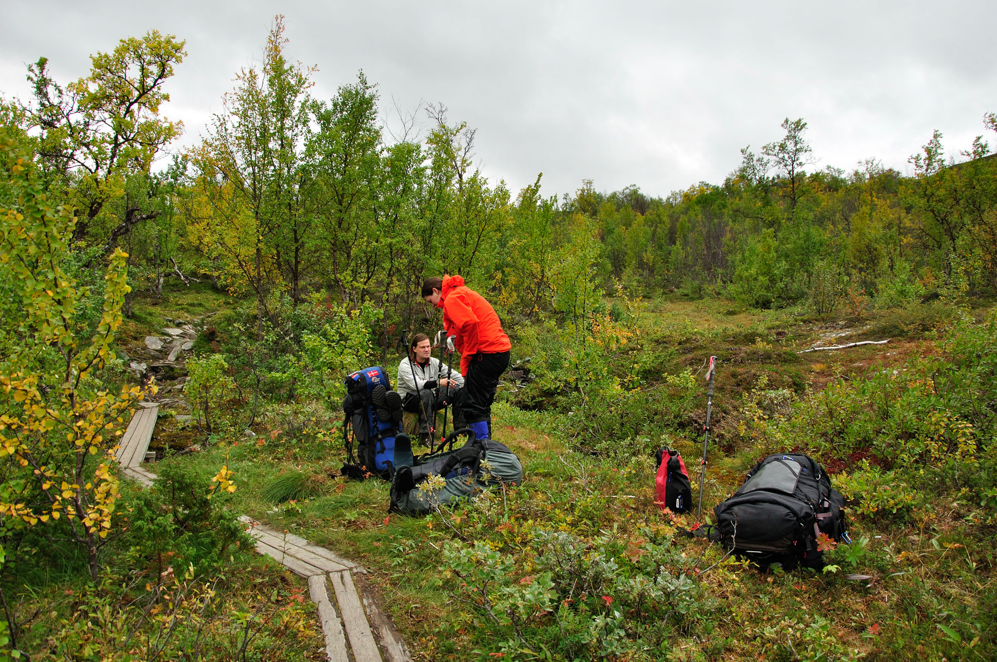 Abisko2015C111_01.jpg