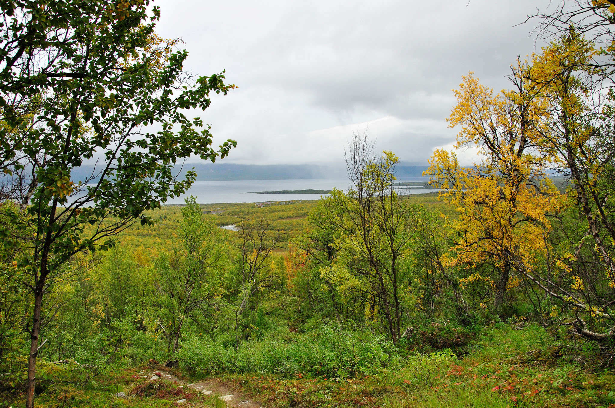 Abisko2015C112_01.jpg