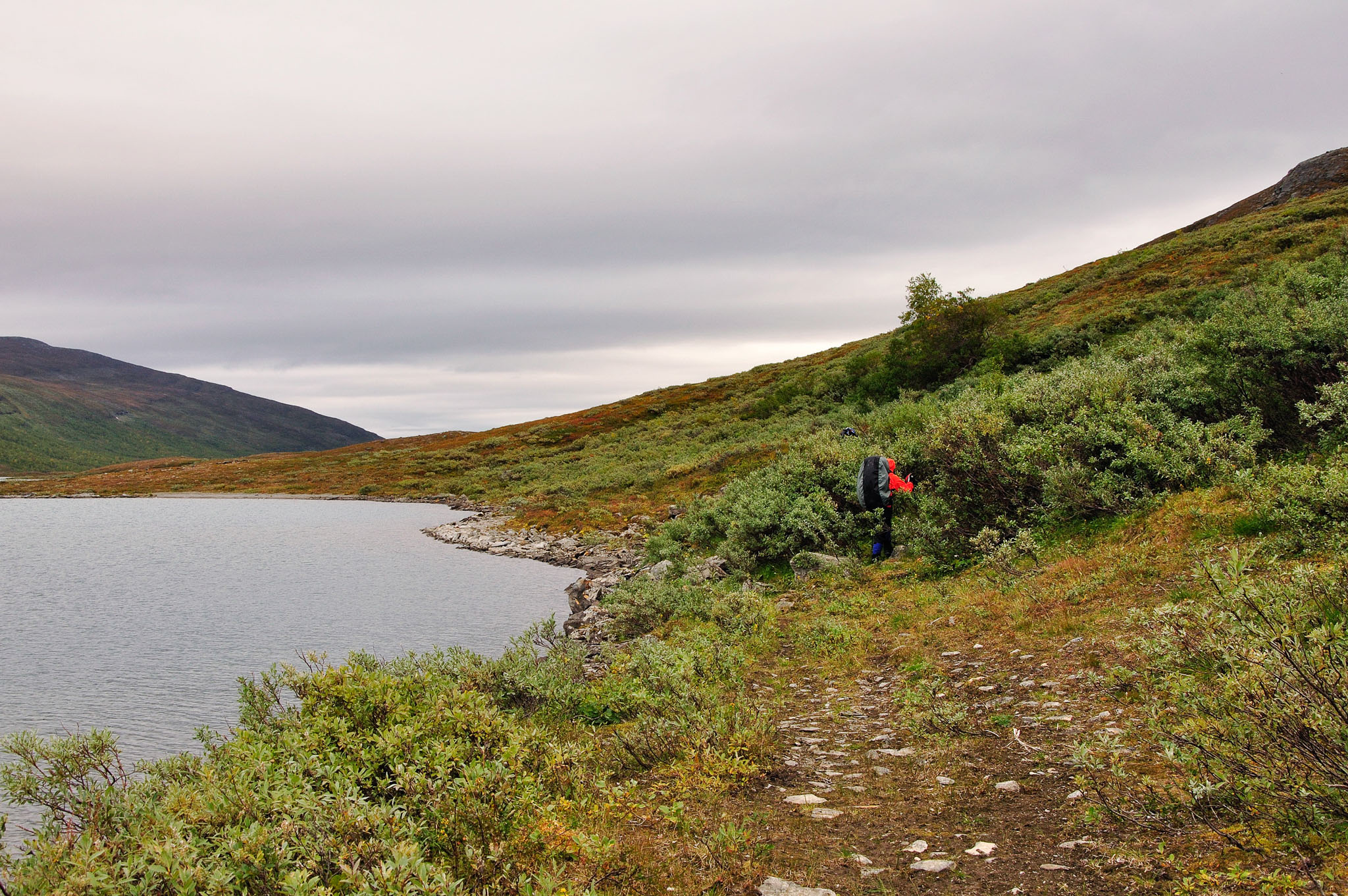 Abisko2015C50_01.jpg