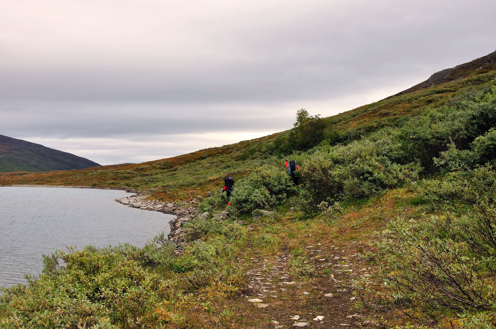 Abisko2015C52_01.jpg