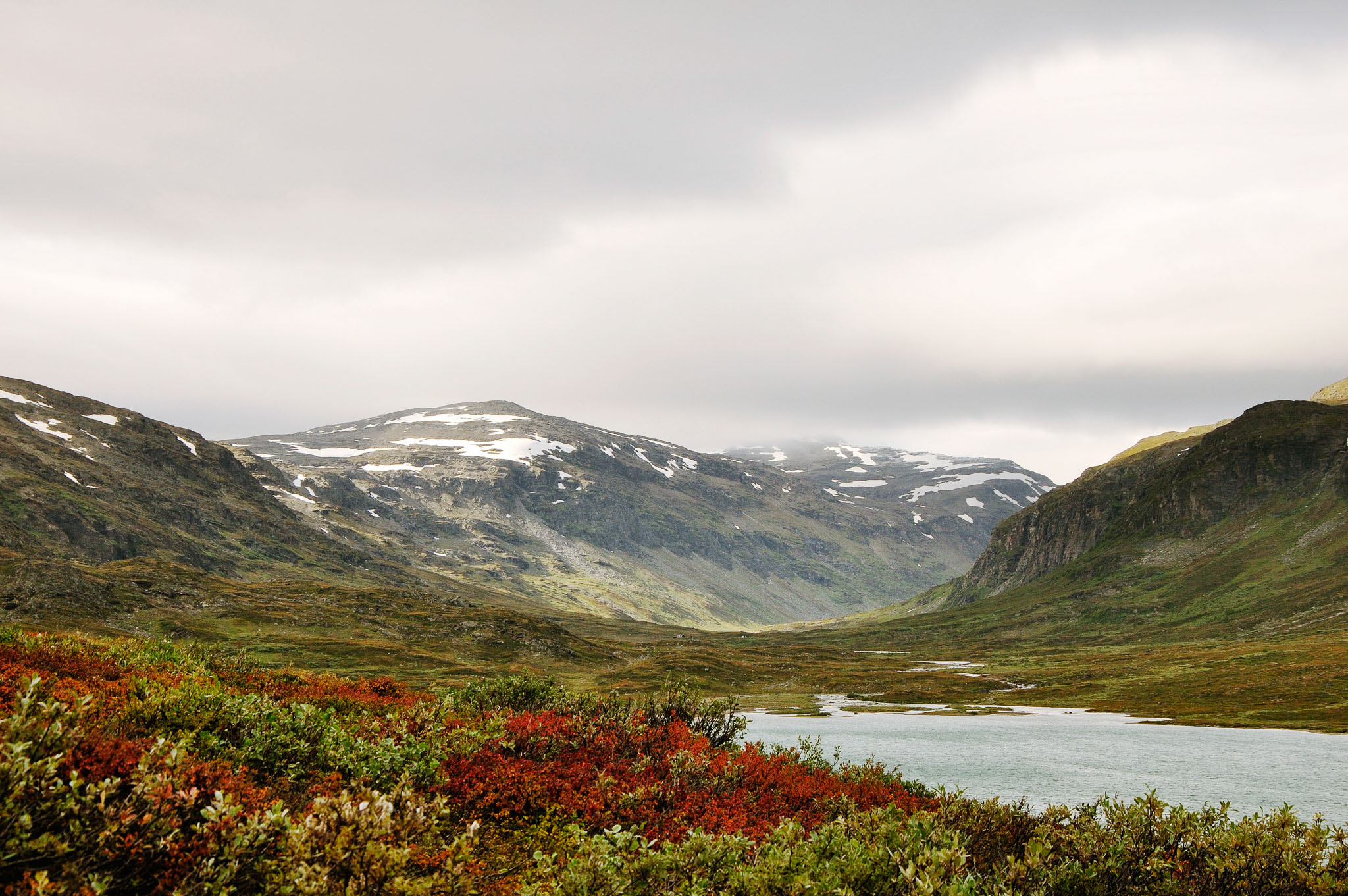 Abisko2015C57_01.jpg