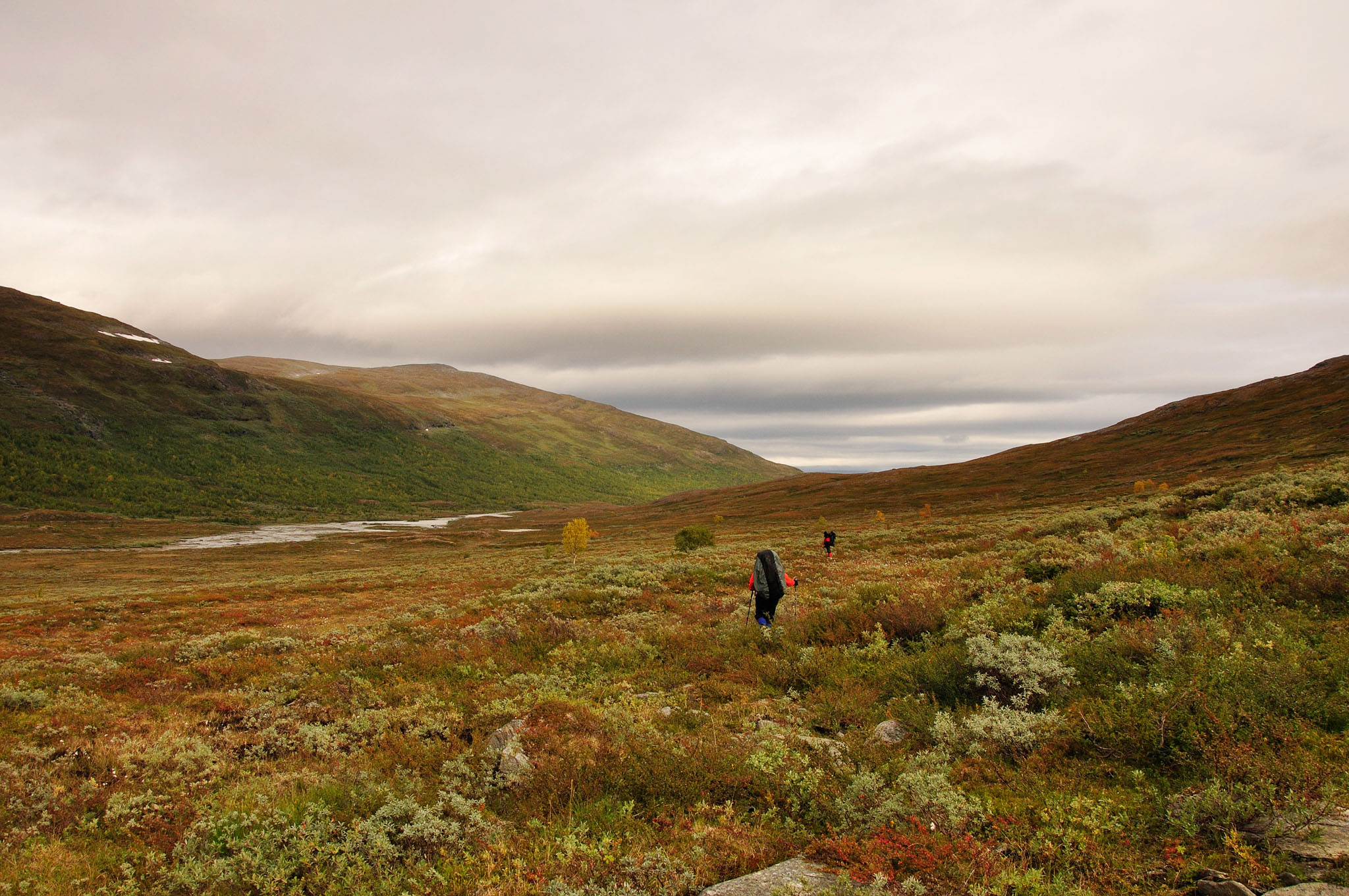 Abisko2015C60_01.jpg