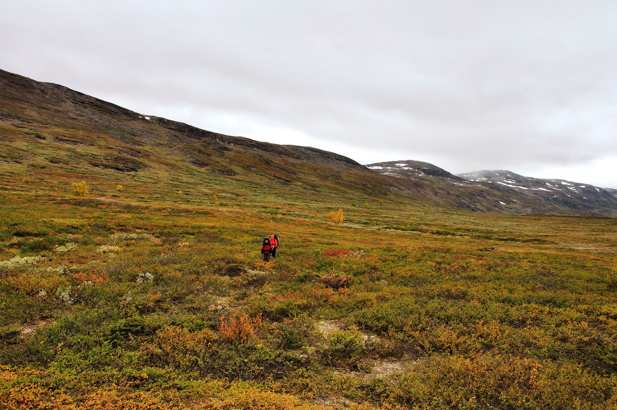 Abisko2015C61_01.jpg