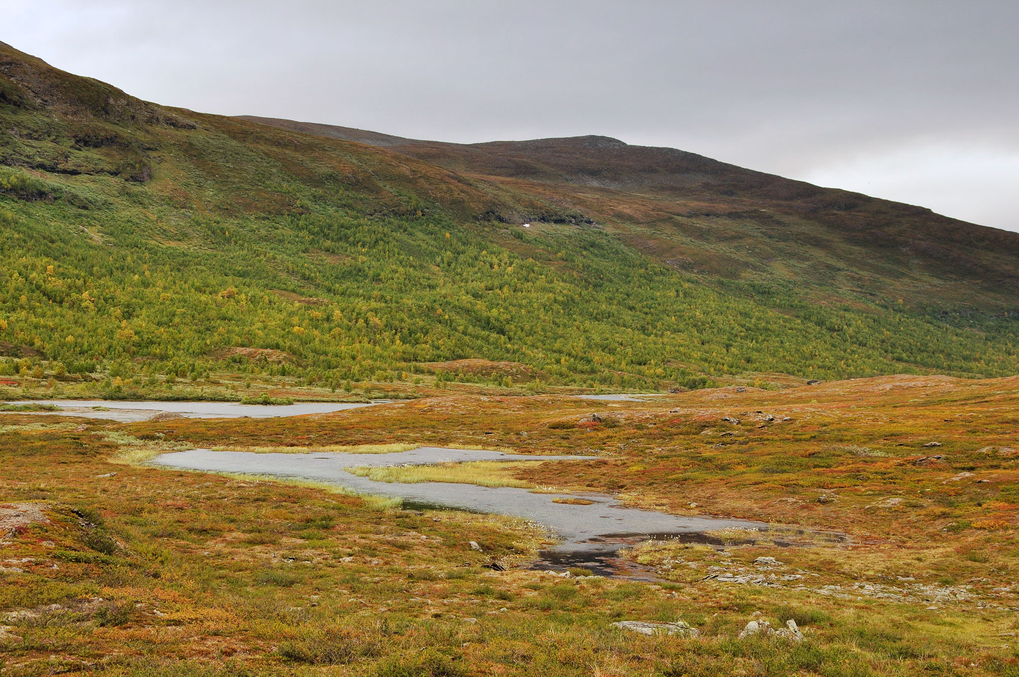 Abisko2015C64_01.jpg