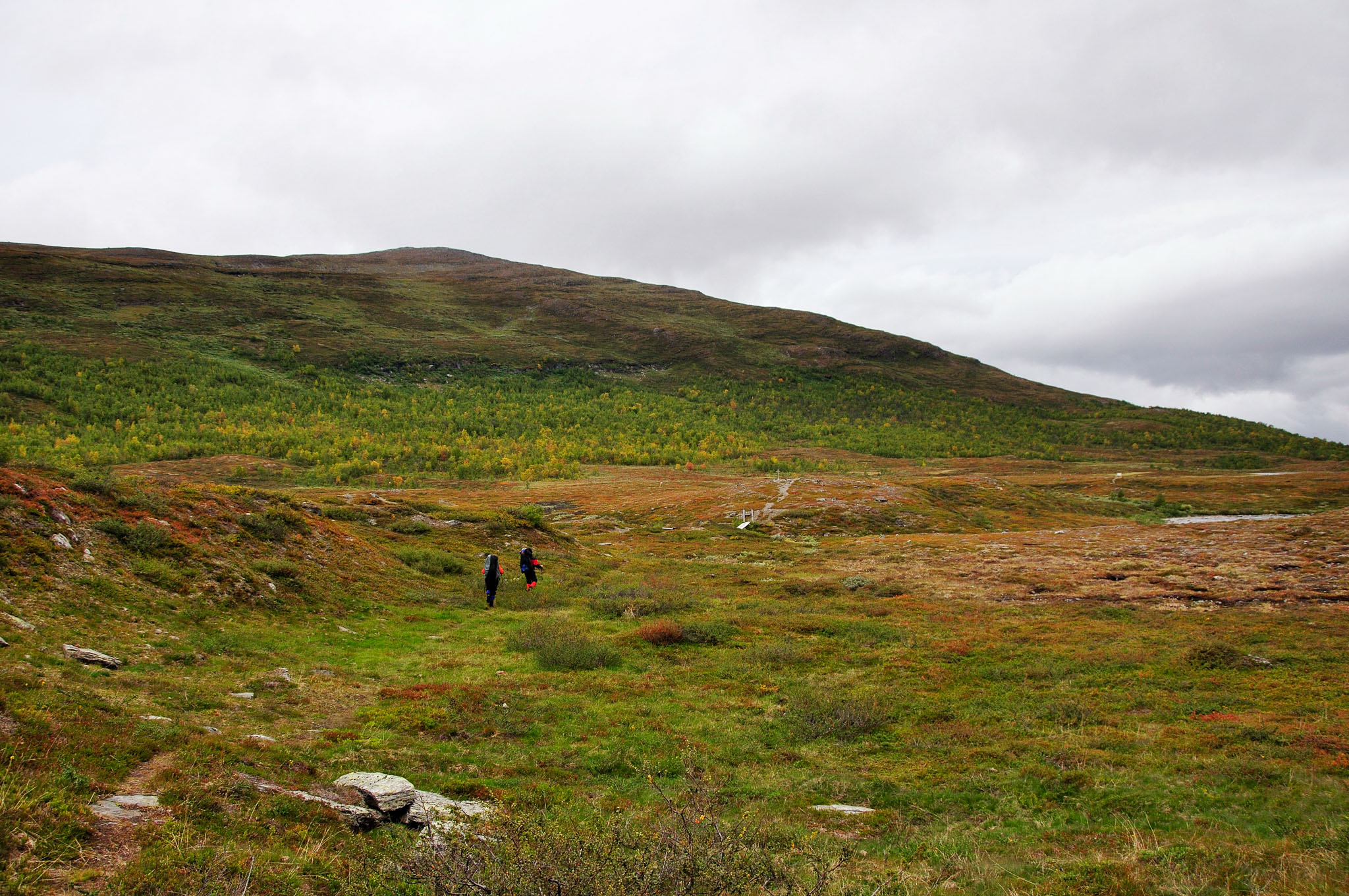 Abisko2015C96_01.jpg