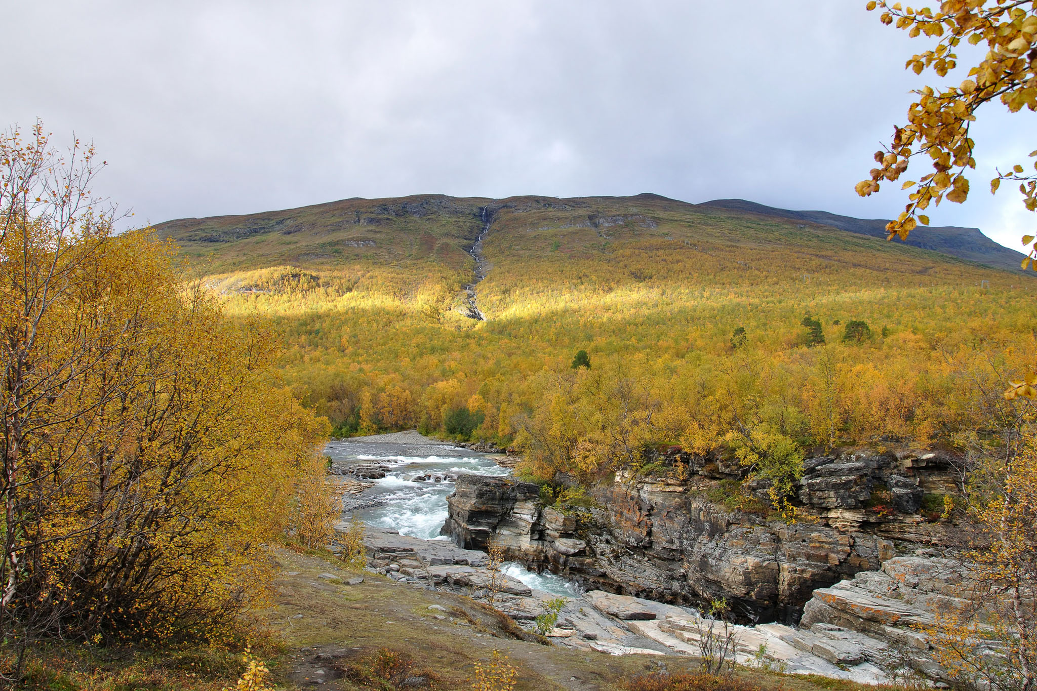 AbiskoSeptember200902.jpg