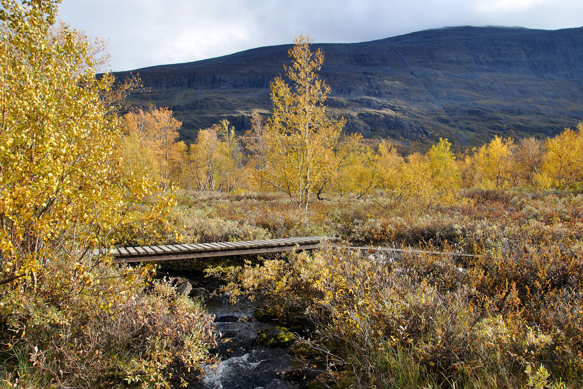 AbiskoSeptember200904.jpg