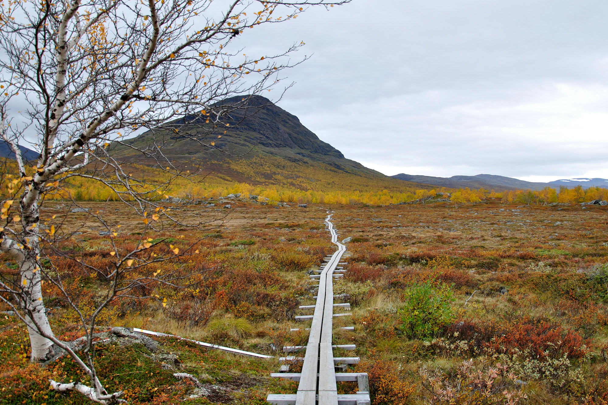 AbiskoSeptember200909b.jpg