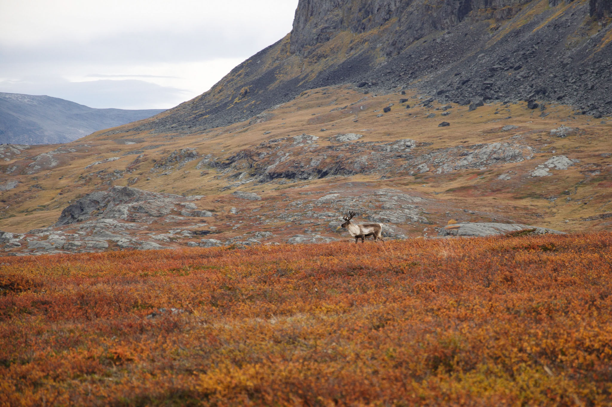 AbiskoSeptember200930.jpg