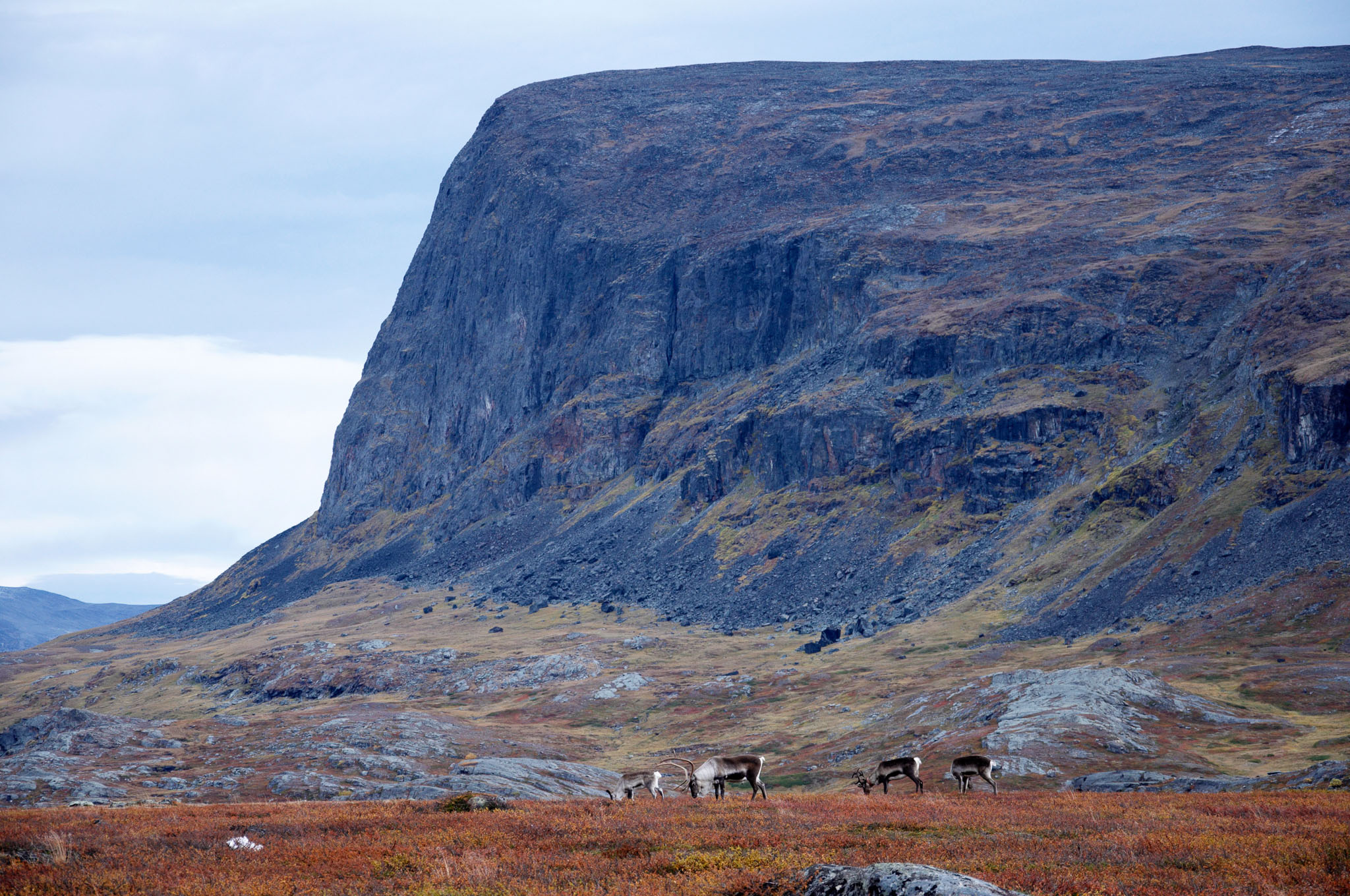 AbiskoSeptember200932.jpg