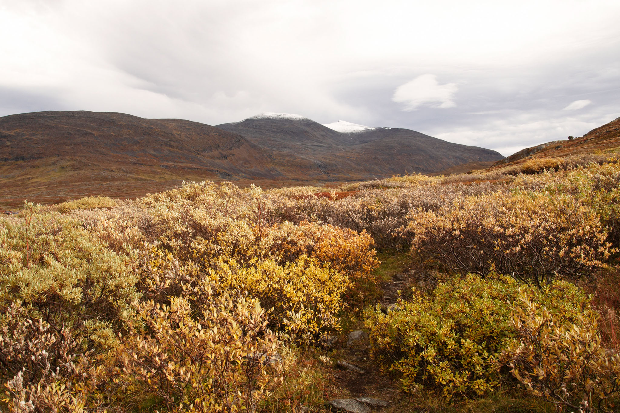 AbiskoSeptember200936.jpg