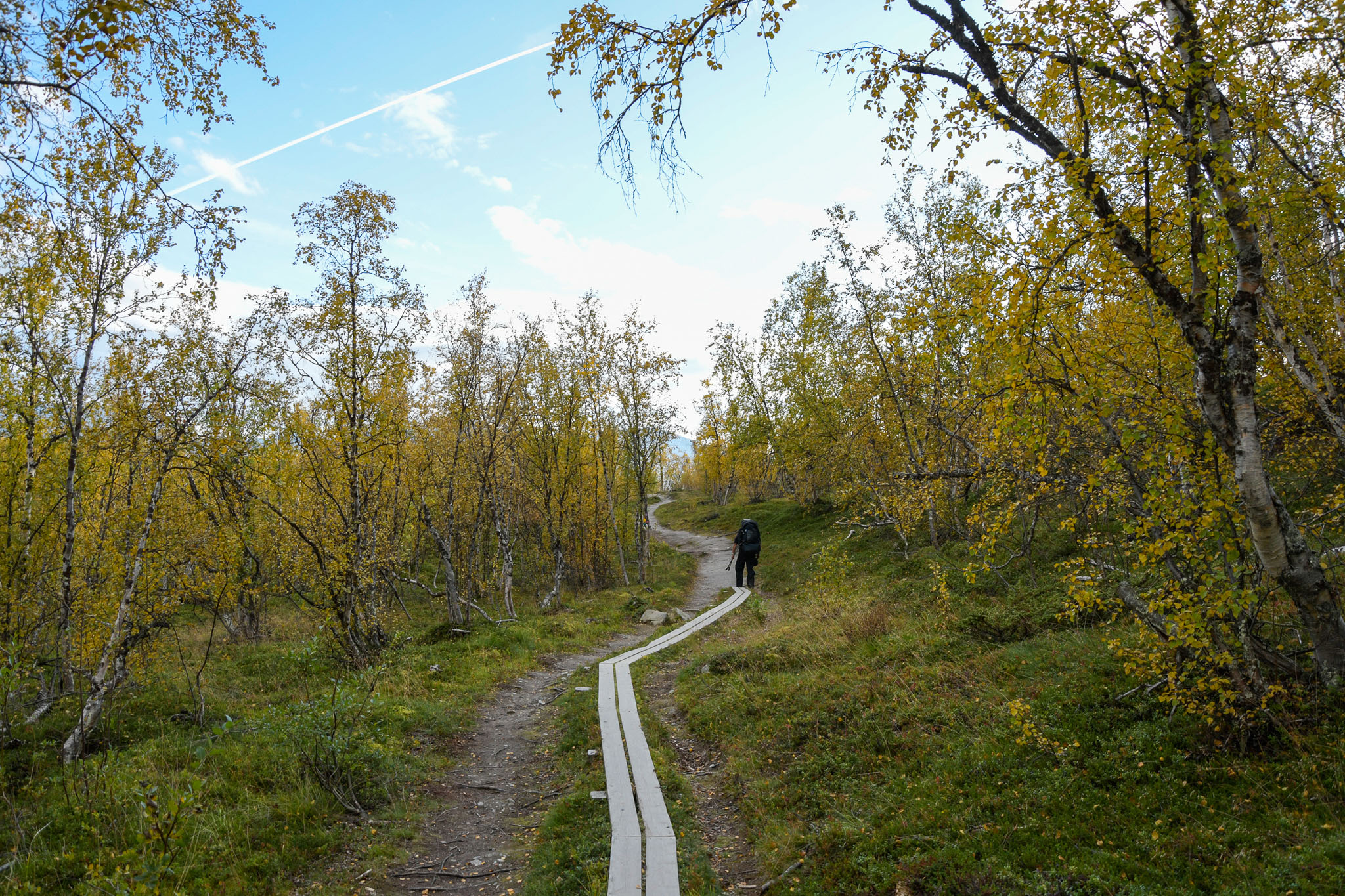 Abisko2018_DSC3049WEB.jpg