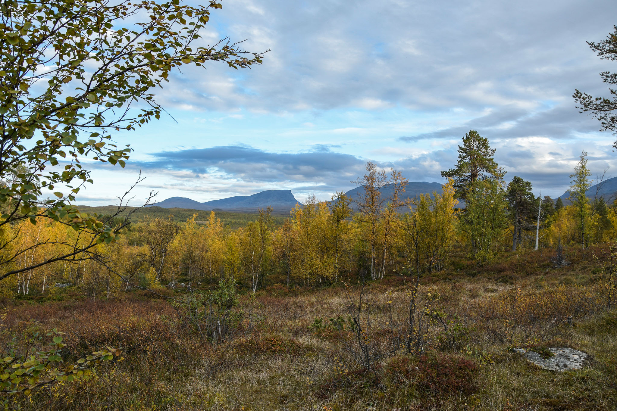 Abisko2018_DSC3053WEB.jpg