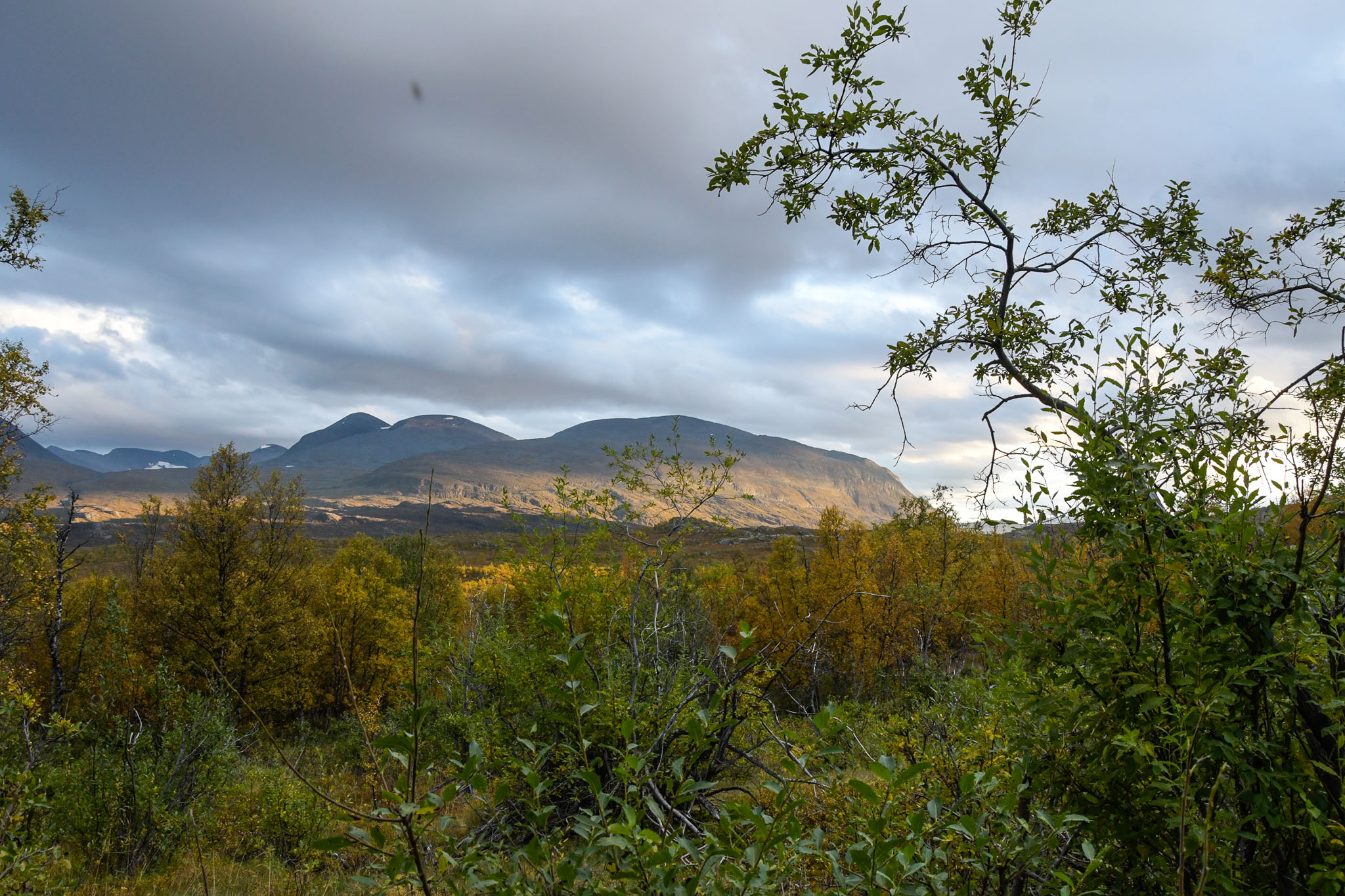 Abisko2018_DSC3077WEB.jpg