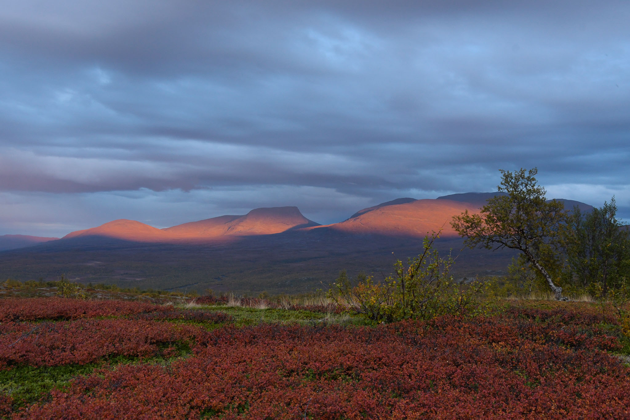 Abisko2018_DSC3082WEB.jpg