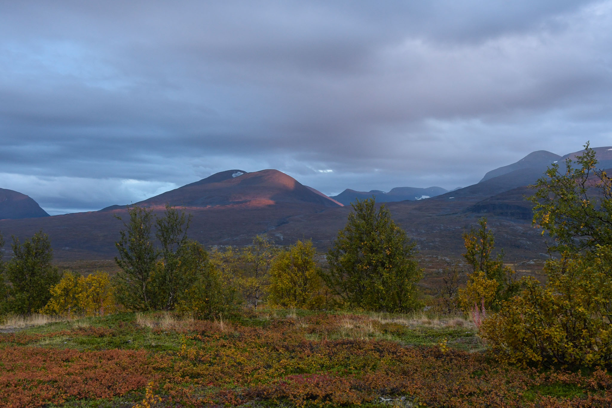 Abisko2018_DSC3083WEB.jpg