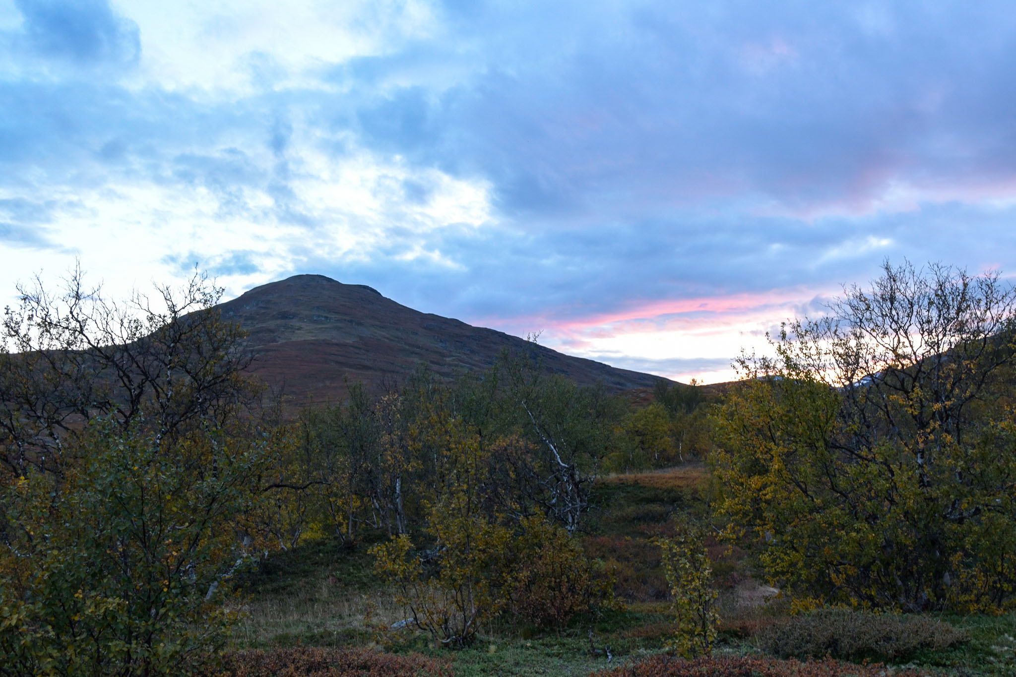 Abisko2018_DSC3084WEB.jpg