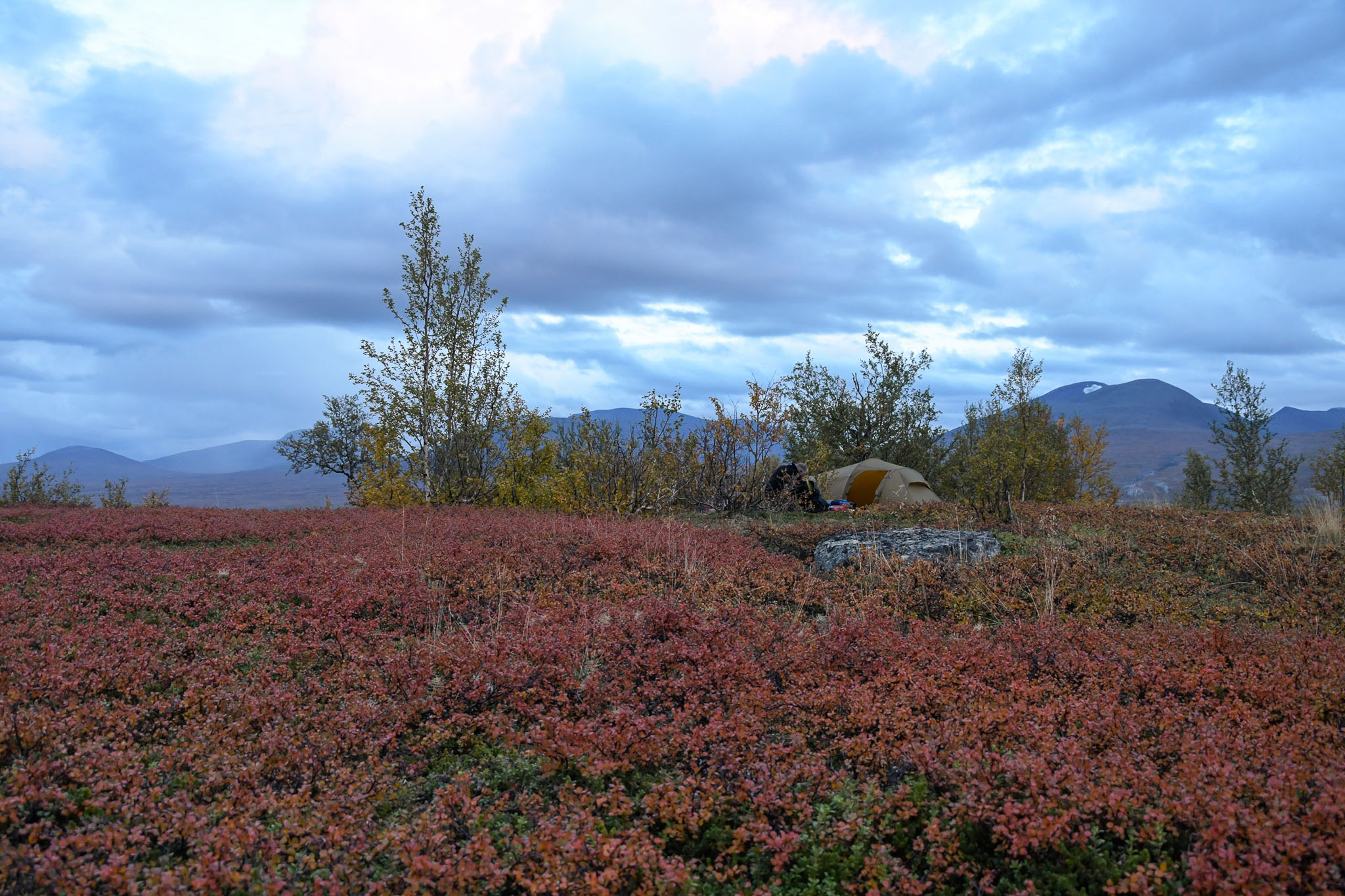 Abisko2018_DSC3086WEB.jpg