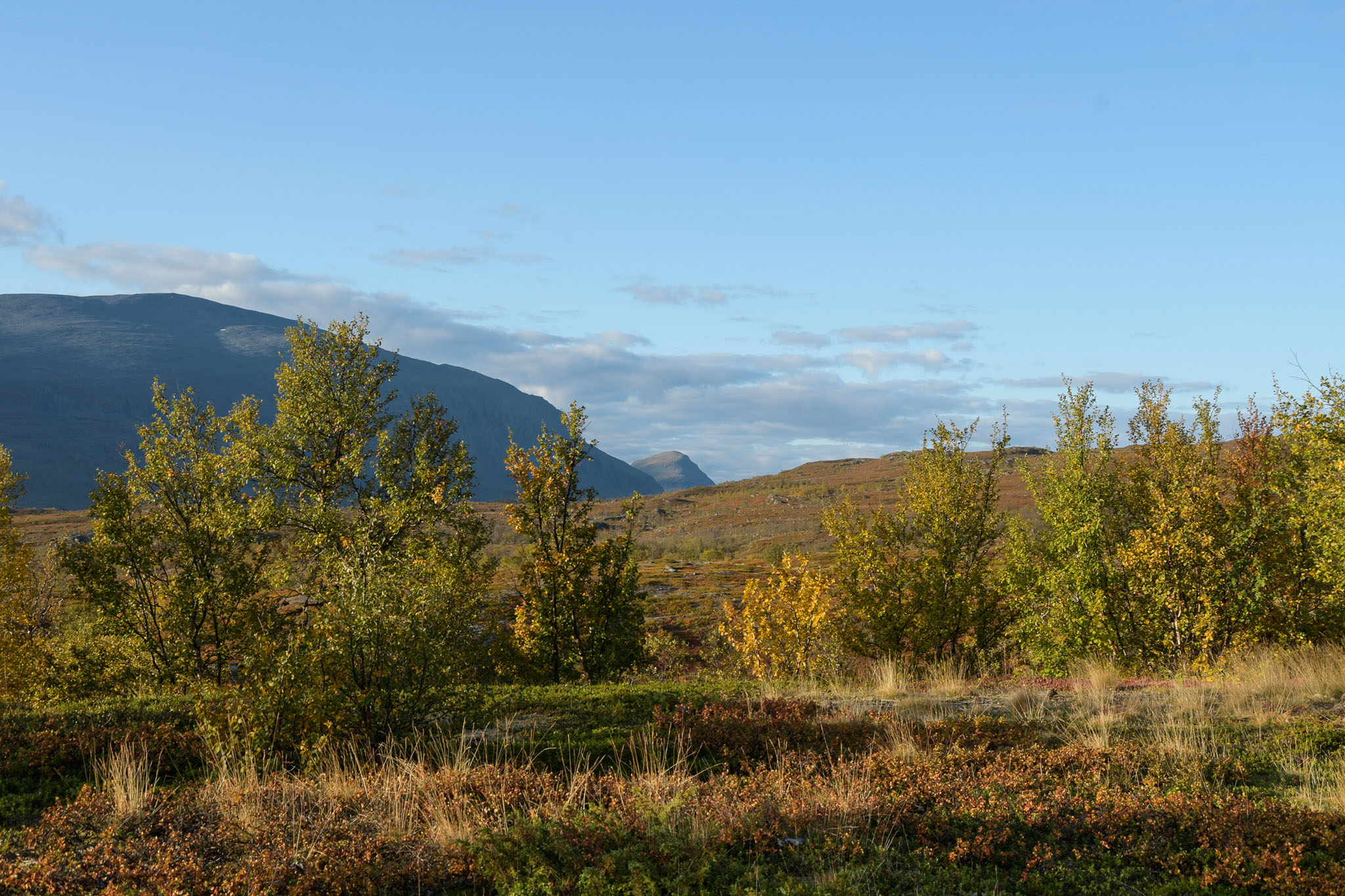 Abisko2018_DSC3090WEB.jpg