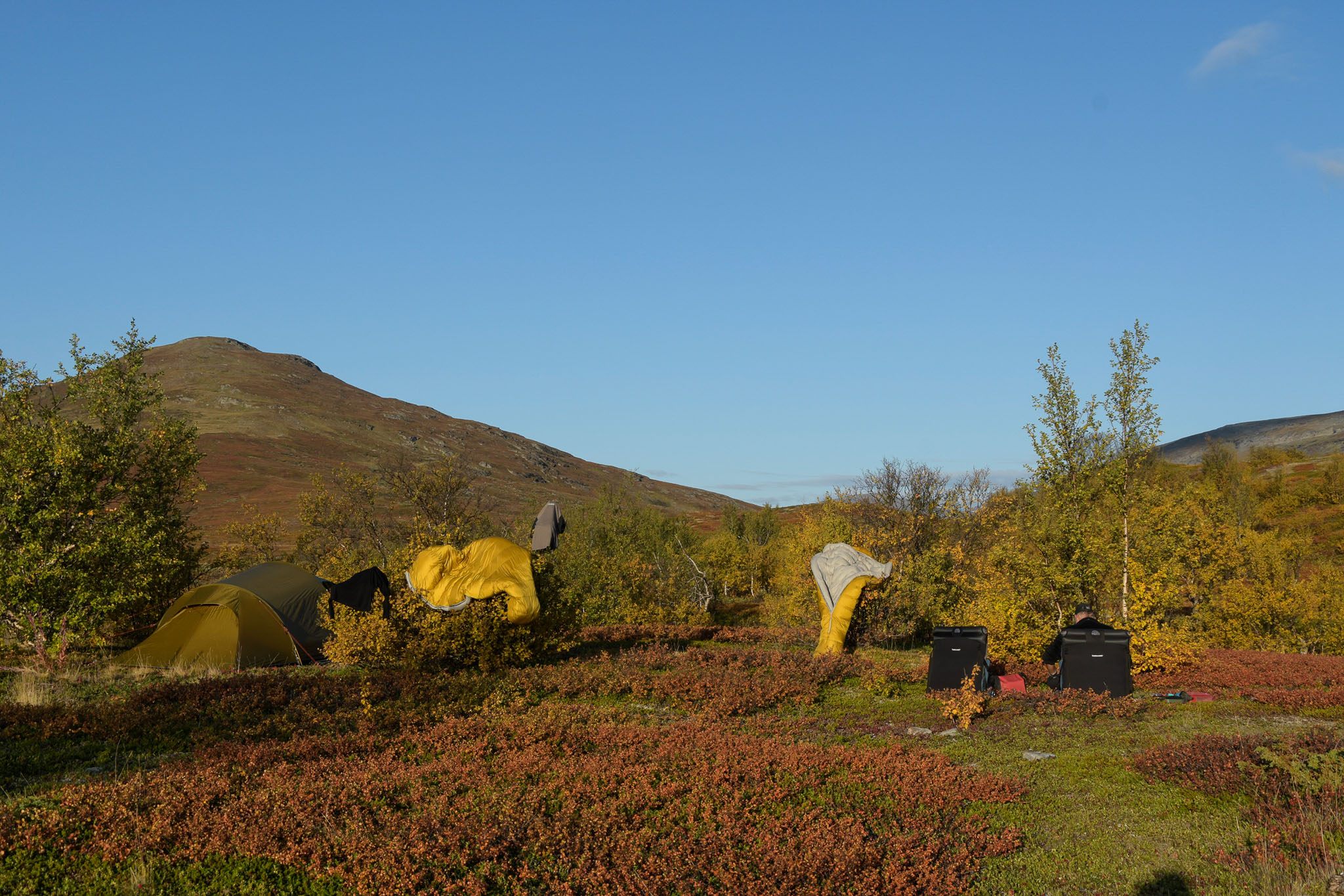 Abisko2018_DSC3091WEB.jpg